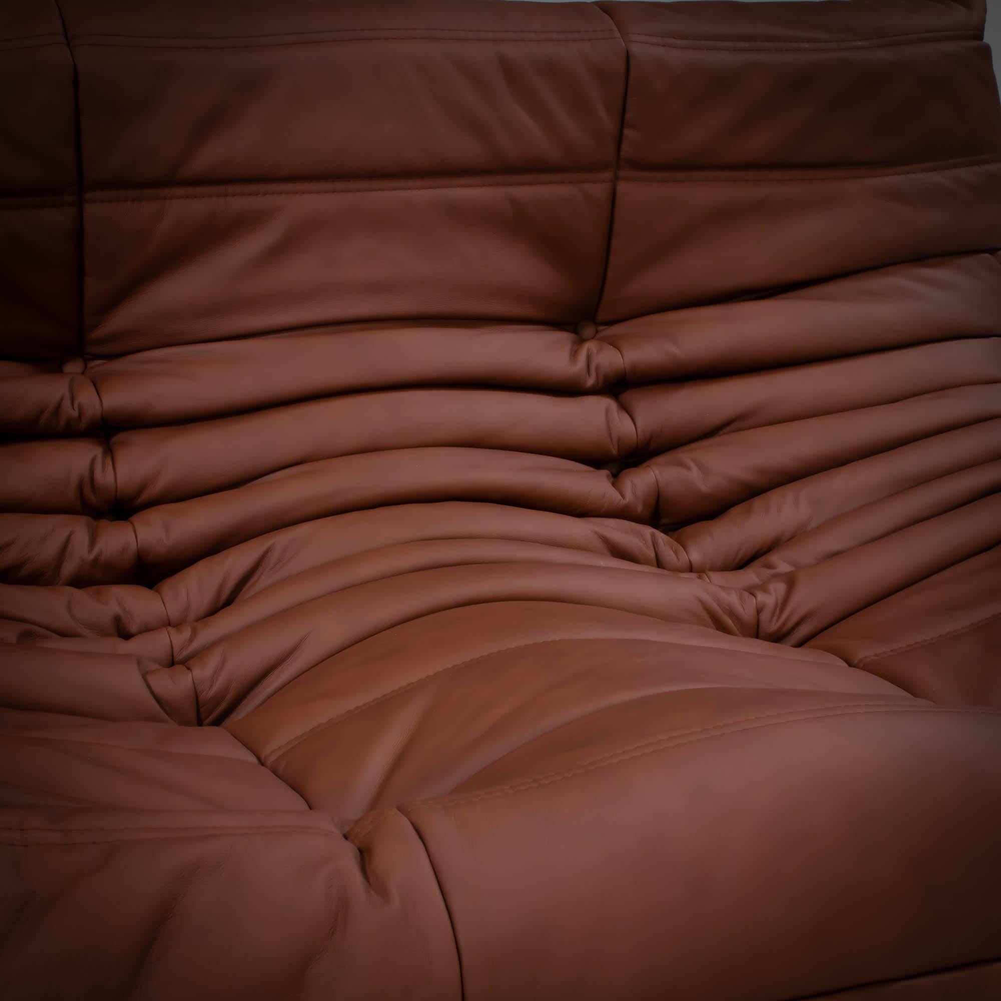 Ligne Roset Togo Brown leather Armchair by Michel Ducaroy 2