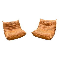 Set aus zwei Togo-Loungesesseln aus patiniertem cognacfarbenem Leder in Ligne-Rose, Frankreich 1970