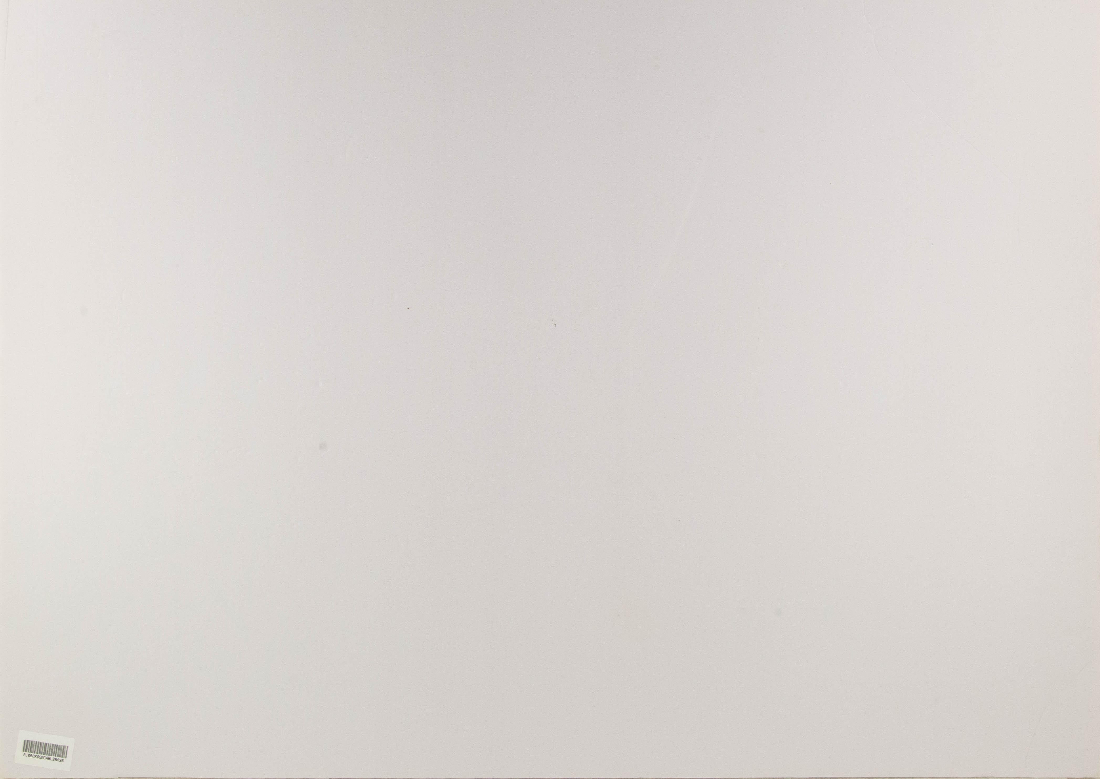 Lijian Li, tecnica mista originale contemporanea 