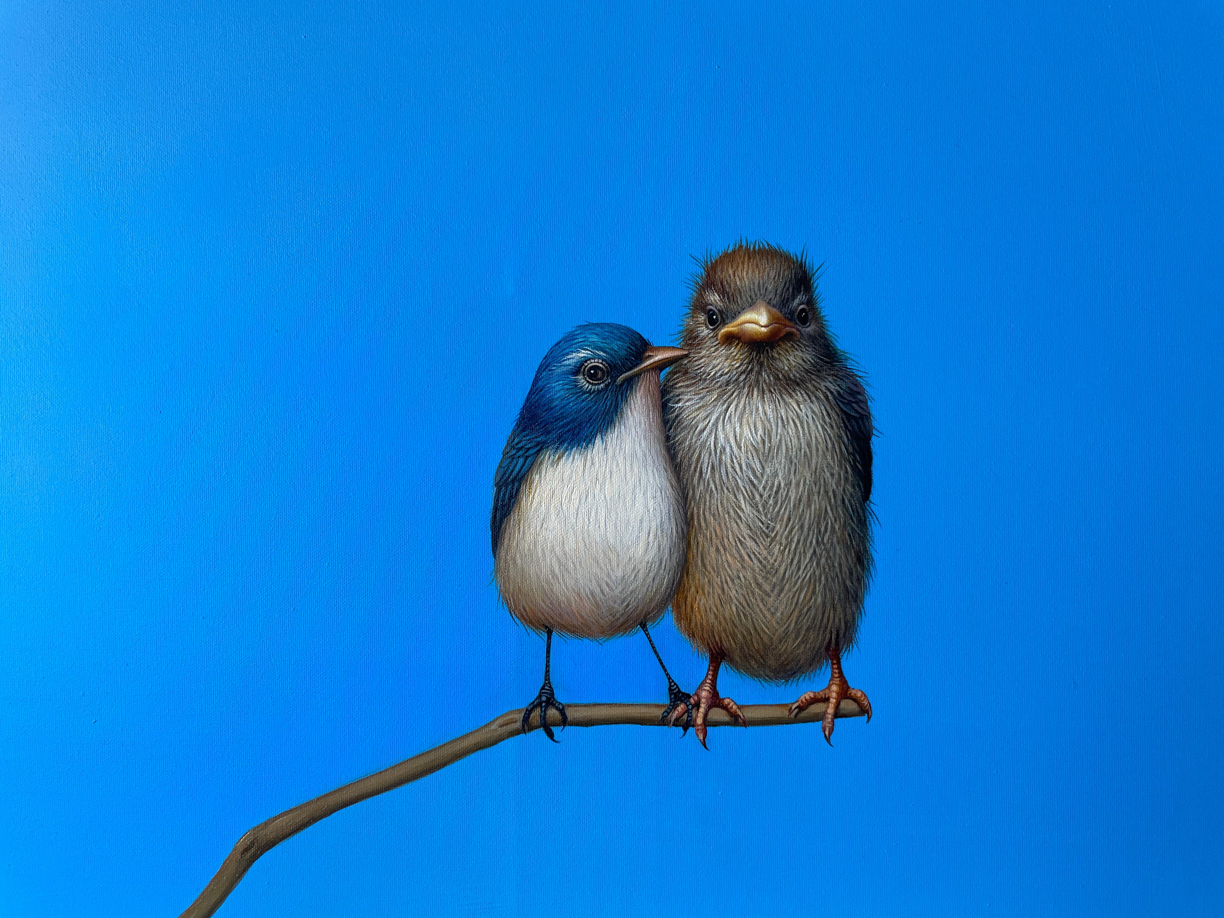 Branch of Devotion - original realist bird oil painting- contemporary art - Painting by Lilia Mazurkevich