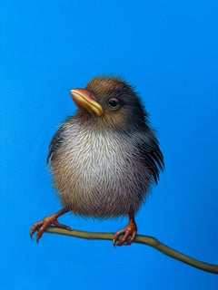 Duke - original realist bird oil painting- contemporary skyscape artwork