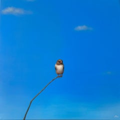 Felix - obra de arte original al óleo realista contemporáneo con pájaros y paisajes aéreos