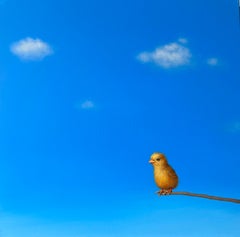 Animal Paintings