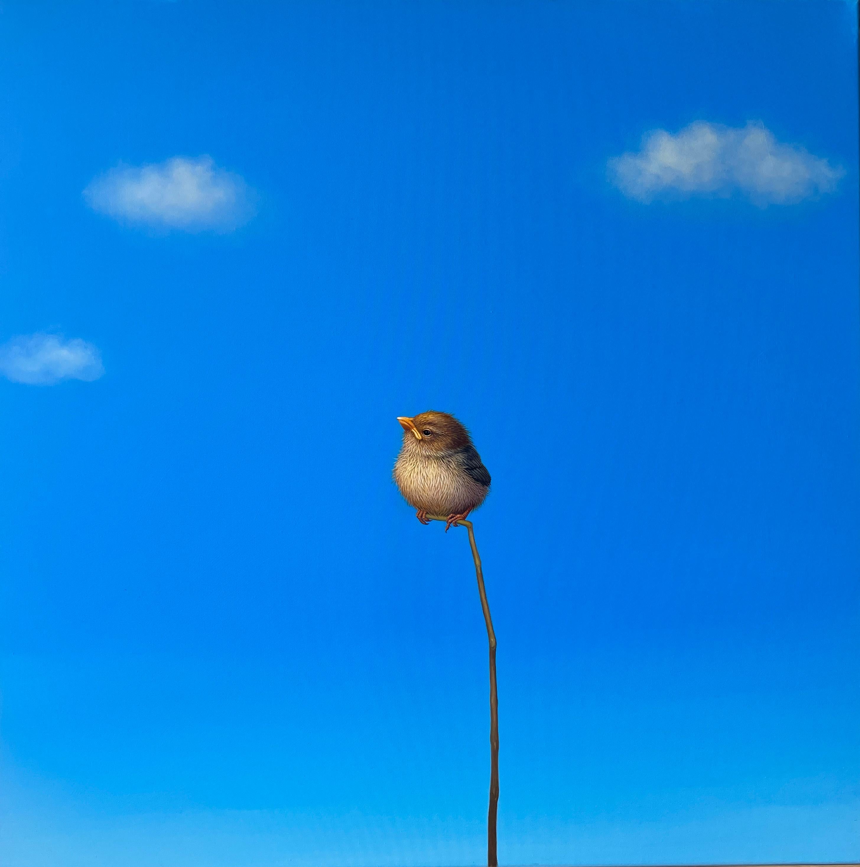Vikram - original realist bird oil painting - contemporary wildlife artwork