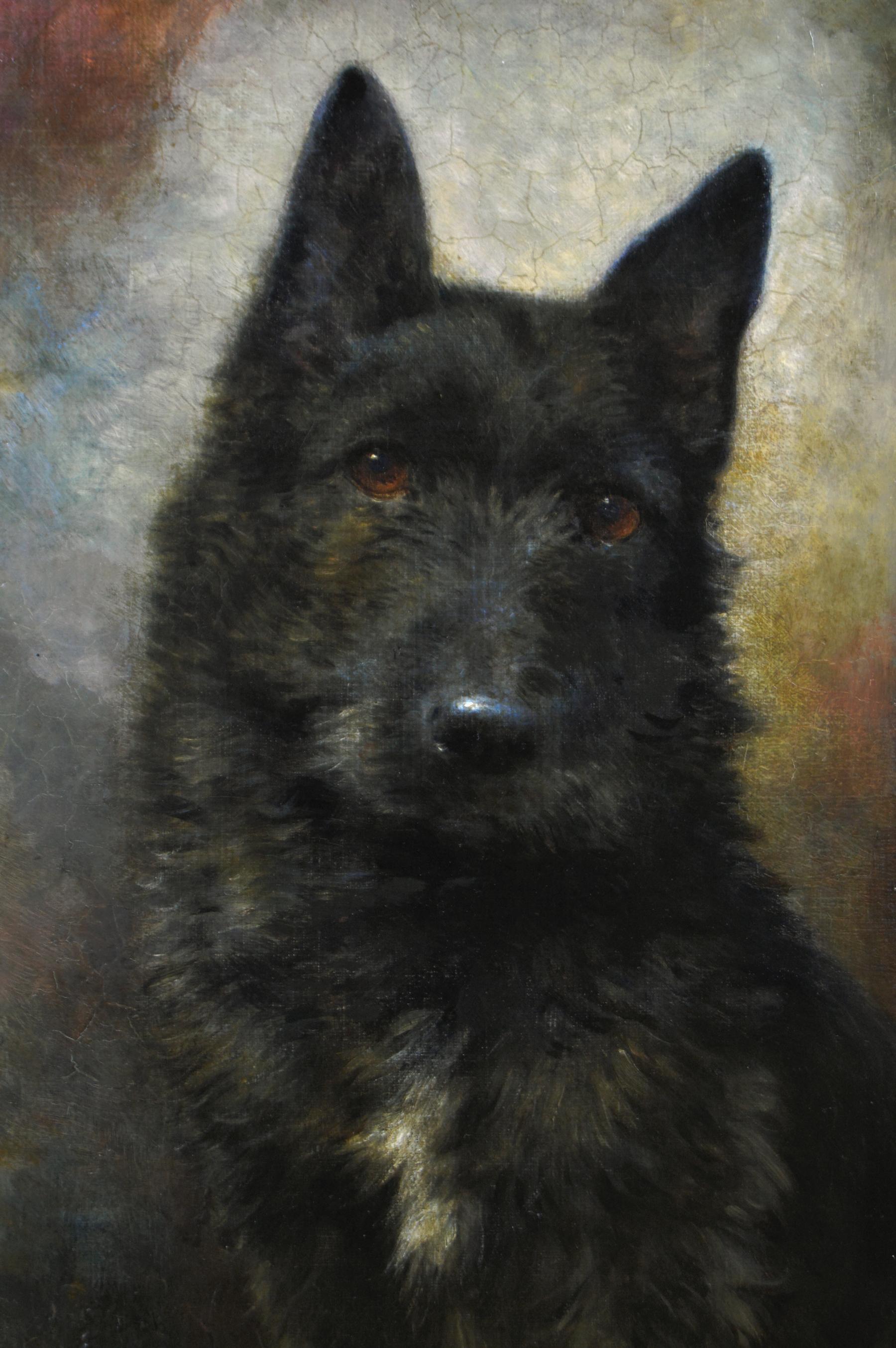Portrait à l'huile d'un terrier écossais représentant un chien, XIXe siècle - Victorien Painting par Lilian Cheviot