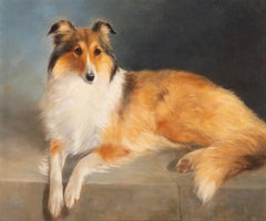 A collie lying on a stone wall