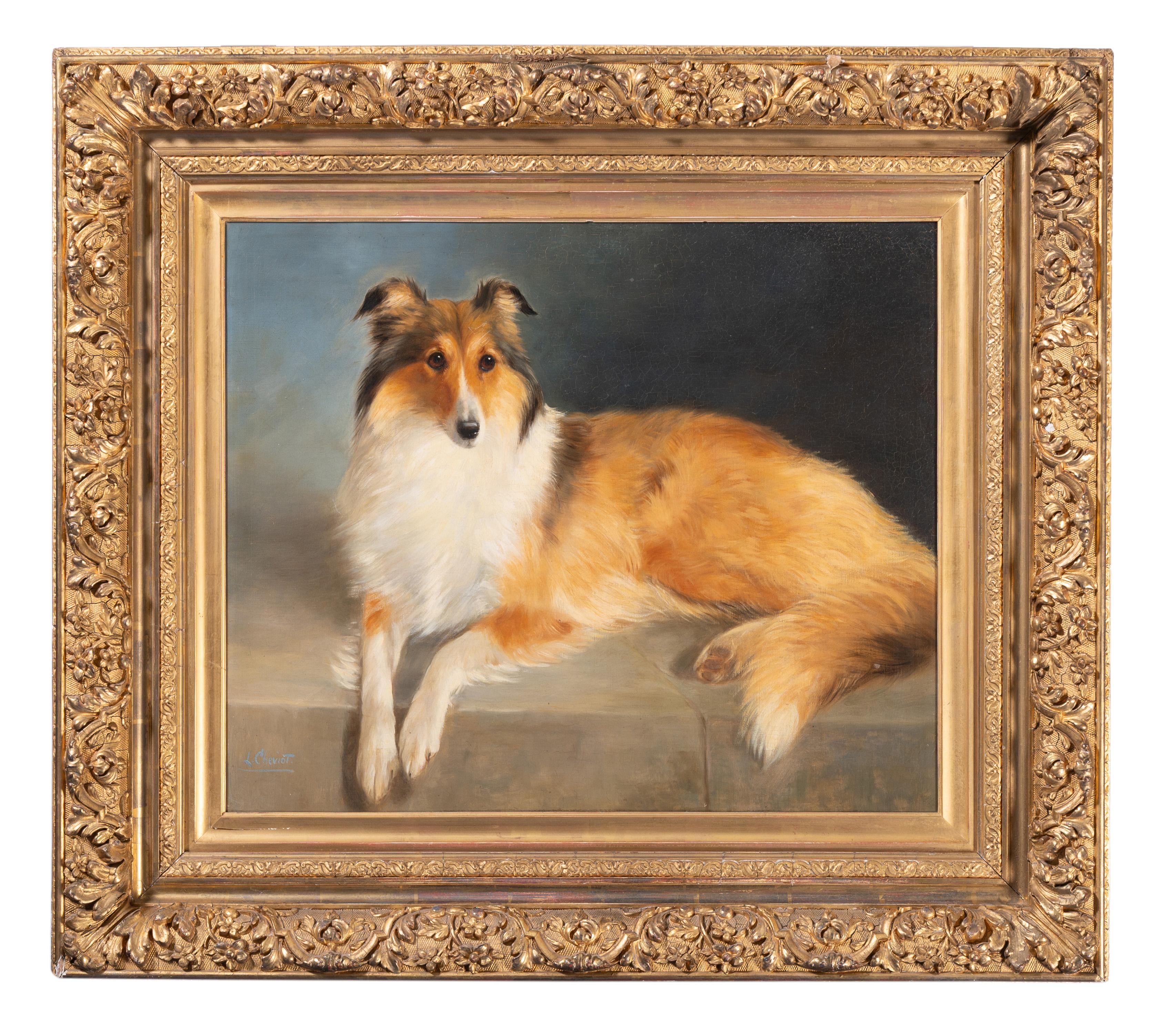 Lilian Cheviot Animal Painting – Ein Colli liegt auf einer Steinmauer