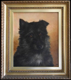 The Sage - un chien préféré