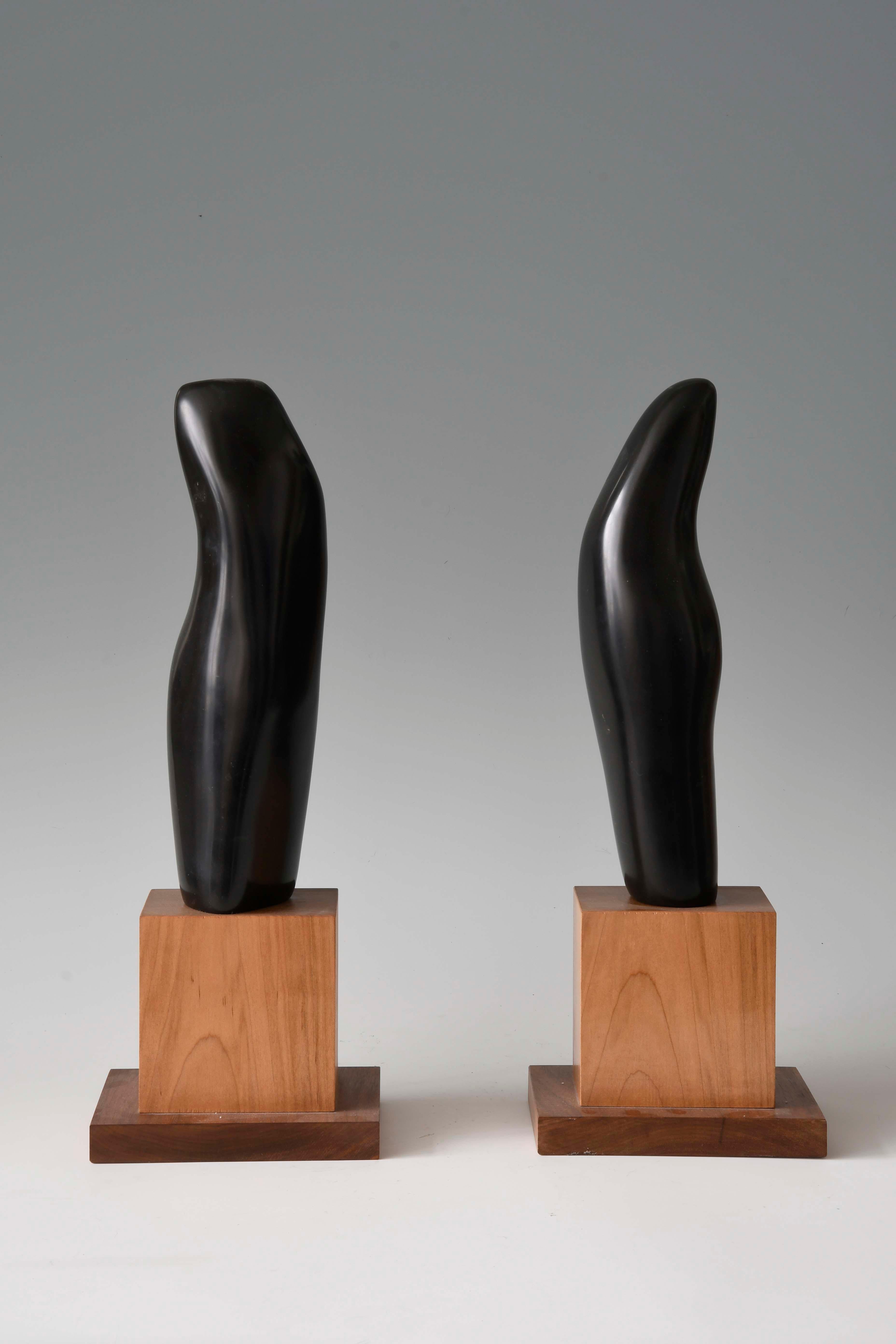 Sinuous Dance, sculpture de deux figures abstraites, marbre noir avec base en bois - Contemporain Sculpture par Lilian R Engel