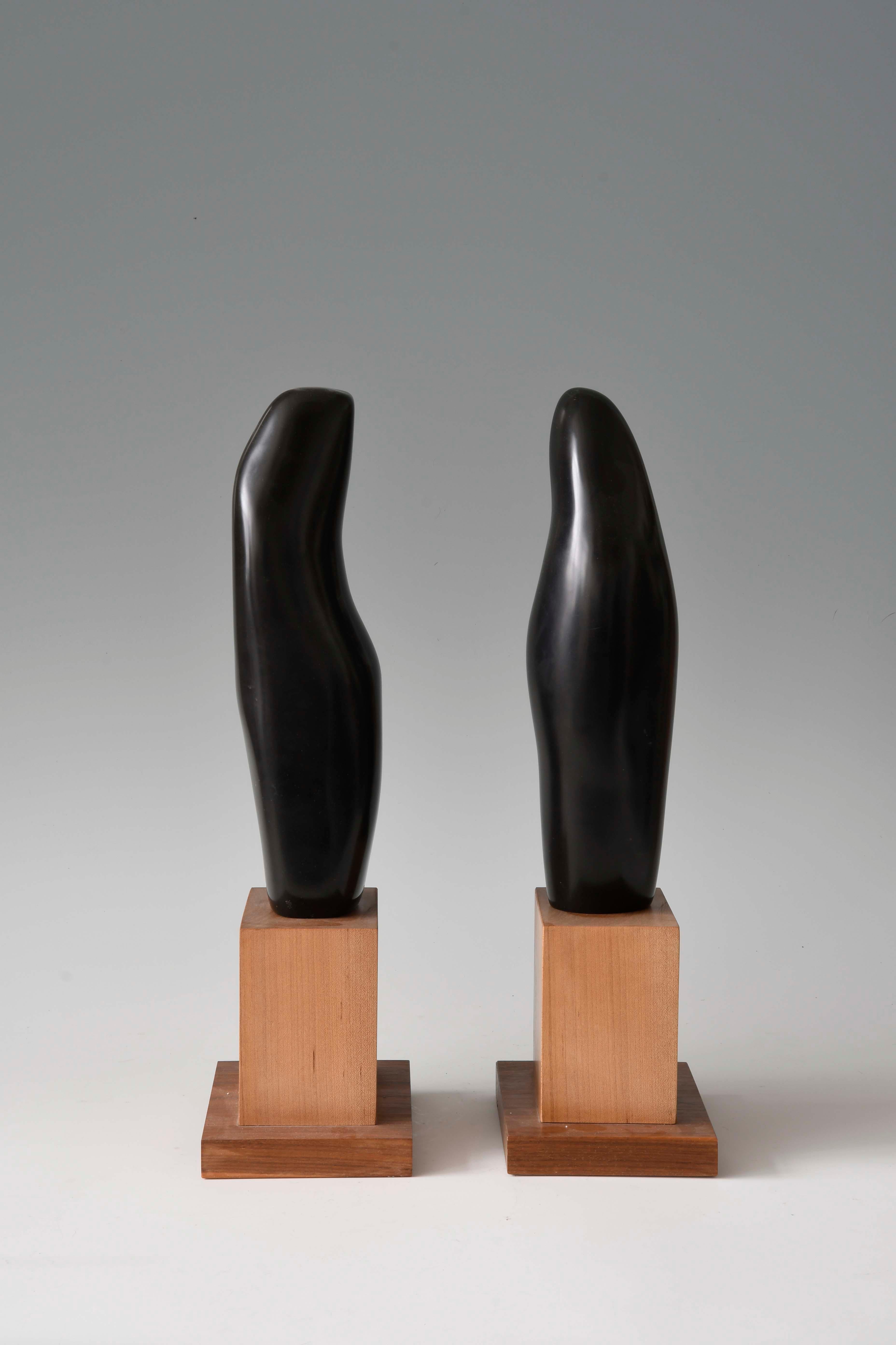 Sinuous Dance, sculpture de deux figures abstraites, marbre noir avec base en bois - Sculpture de Lilian R Engel