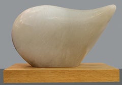 Il cucciolo d'inverno