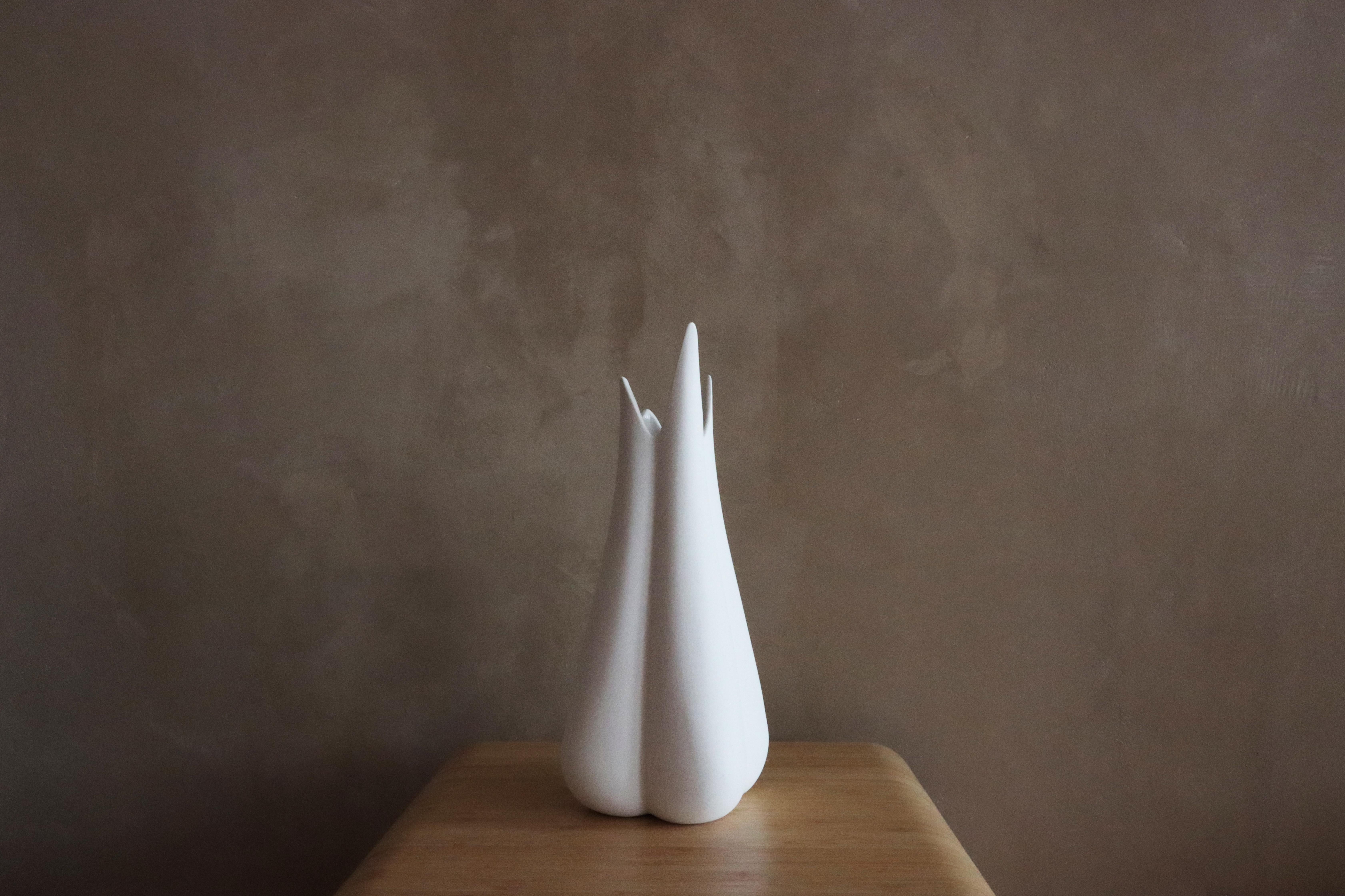 Elevate your home decor game with the Lilium Vase! This beautifully designed piece is perfect for those who want to add a touch of sophistication and elegance to their space.

Crafted from high-quality porcelain ceramic, this vase is built to last