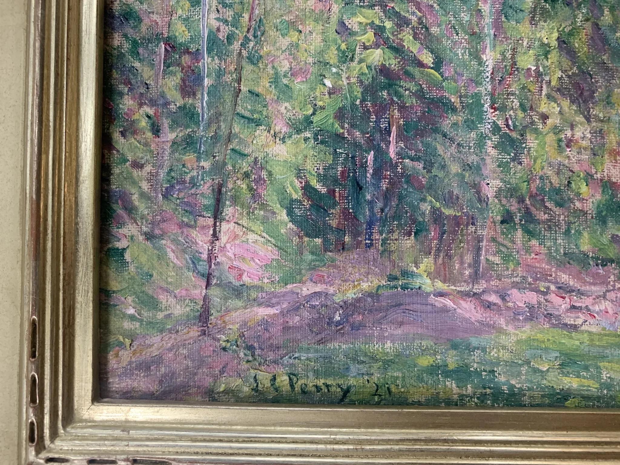 L'inizio della primavera dalla mia finestra a Hancock, NH 2
