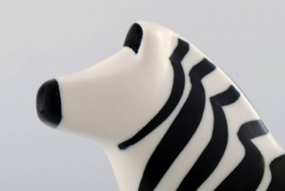 arabia zebra