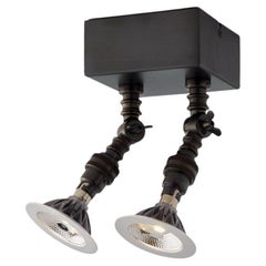 LILLEY SPOT TWIN - LED brushed chrome plated brass