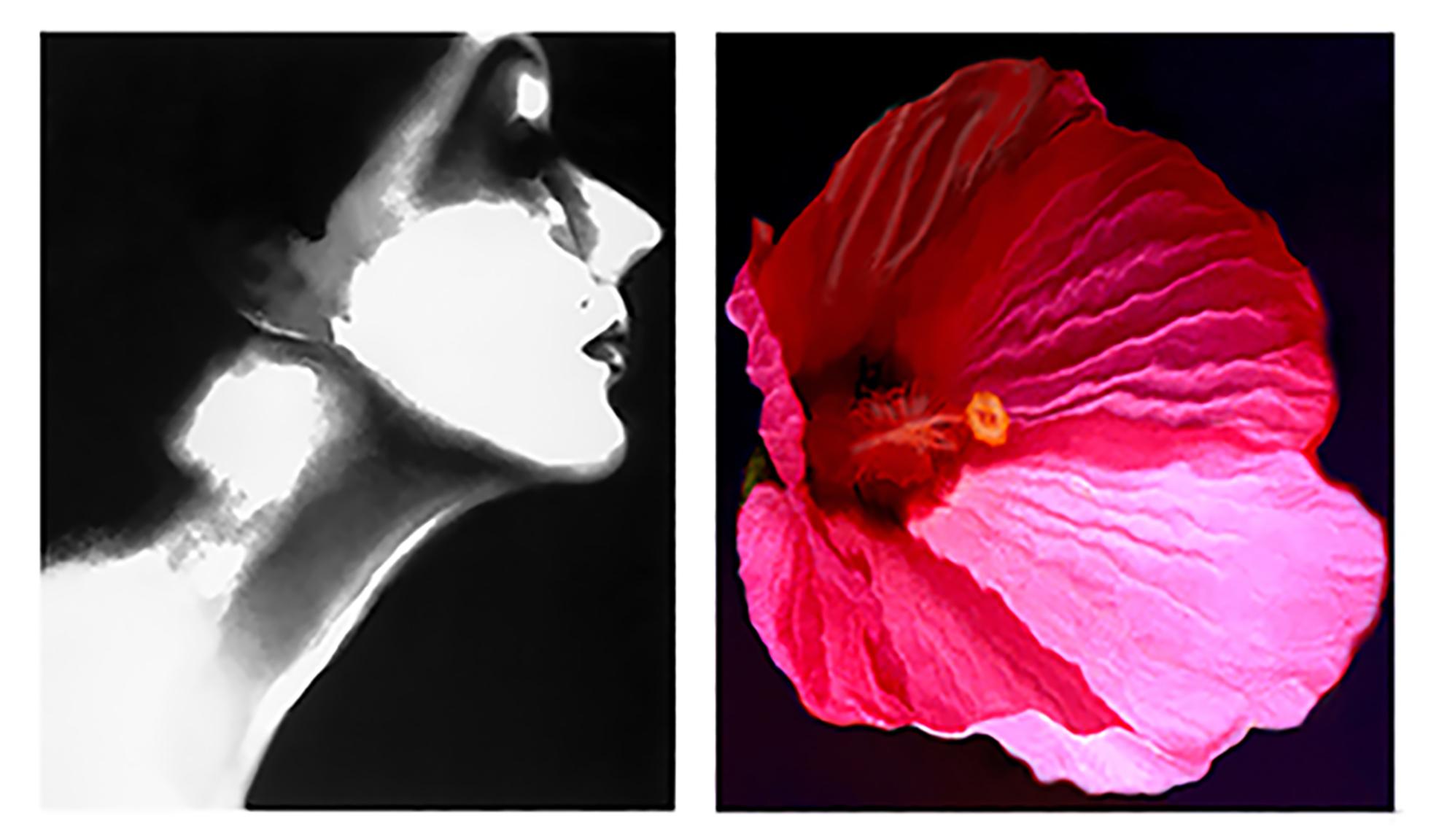 Lisa Fonssagrives, Harper's Bazaar, vers 1950 / Fleur 28 (Mauve rose), 2006 - Photograph de Lillian Bassman