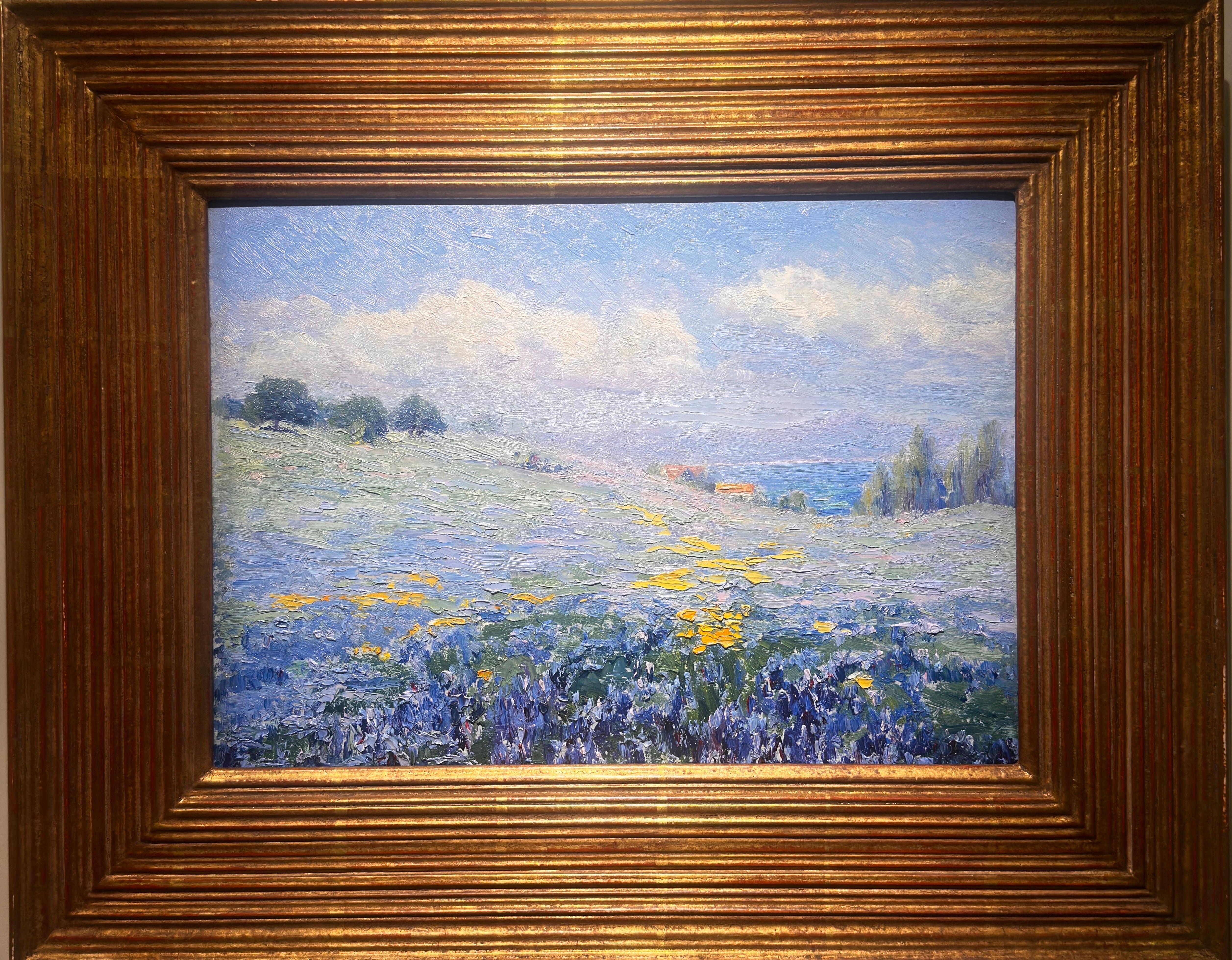 Wildflowers du long de la côte