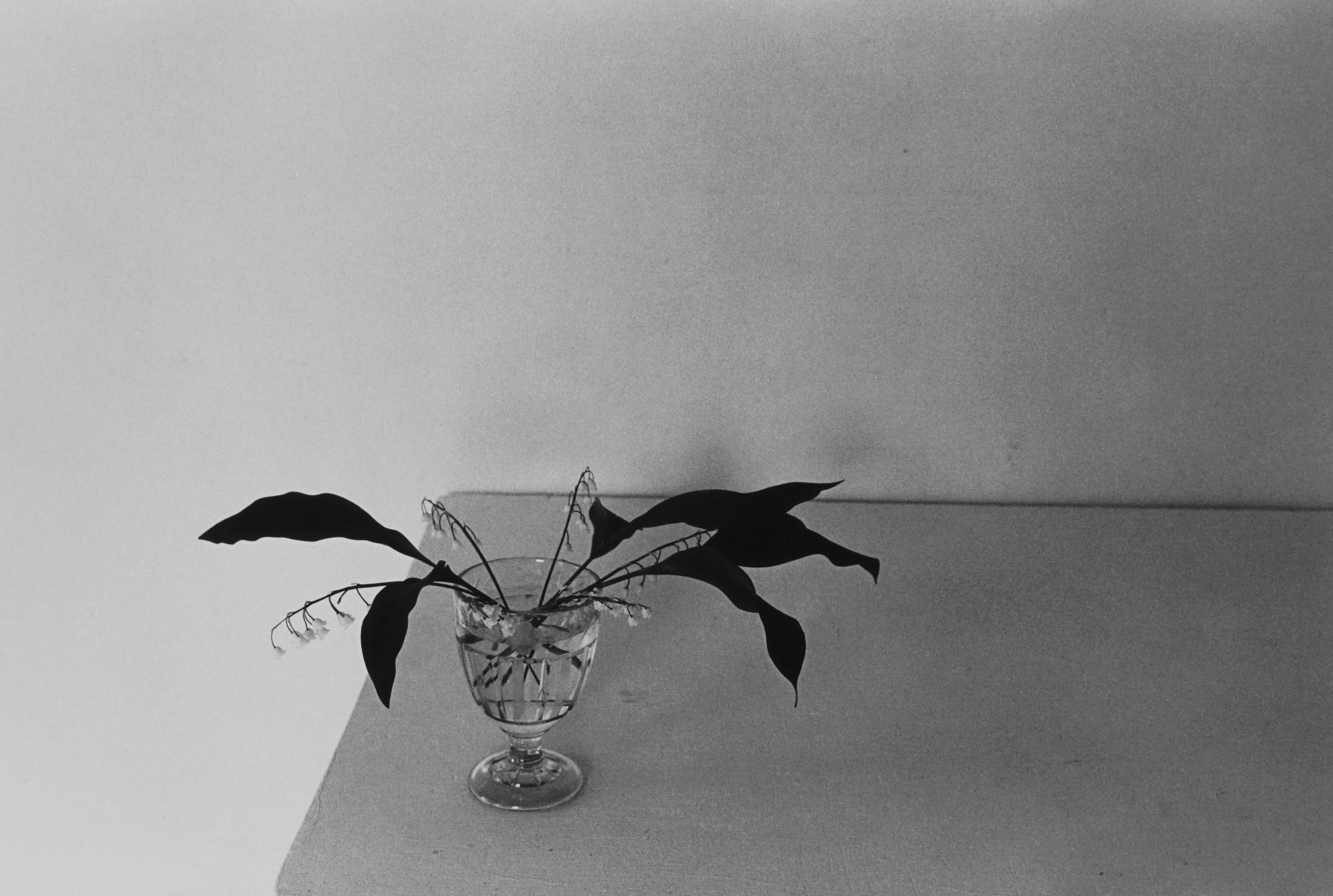 Lilo Raymond Black and White Photograph - Lily of the Valley, 1982