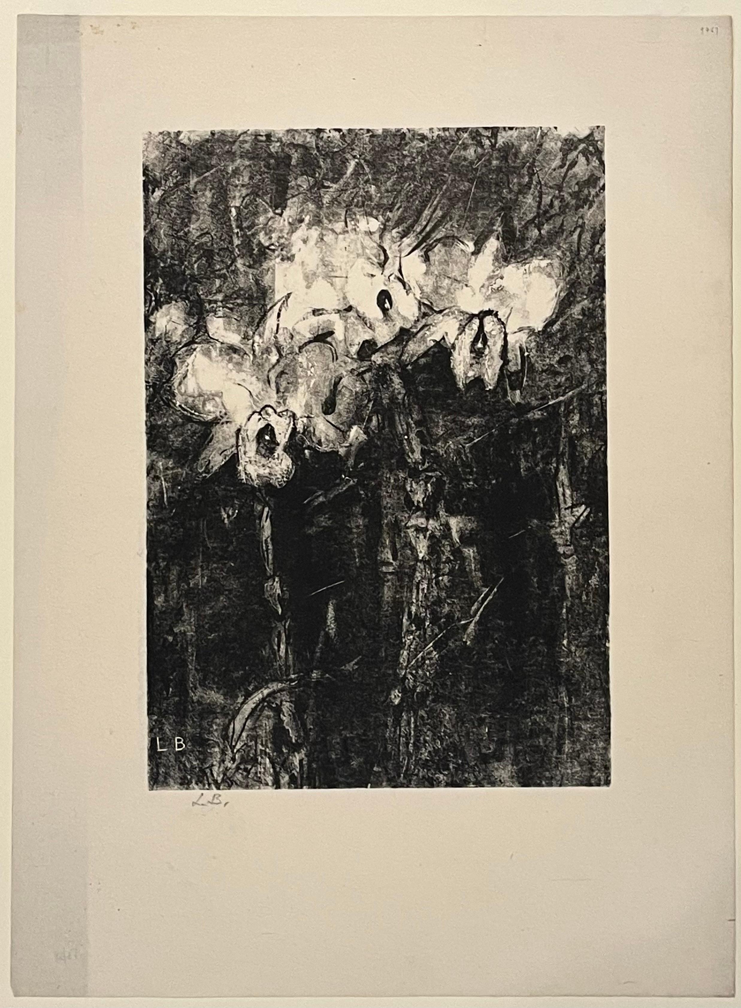 SIX FLOWER STUDIES - Print by Lily Blatherwick