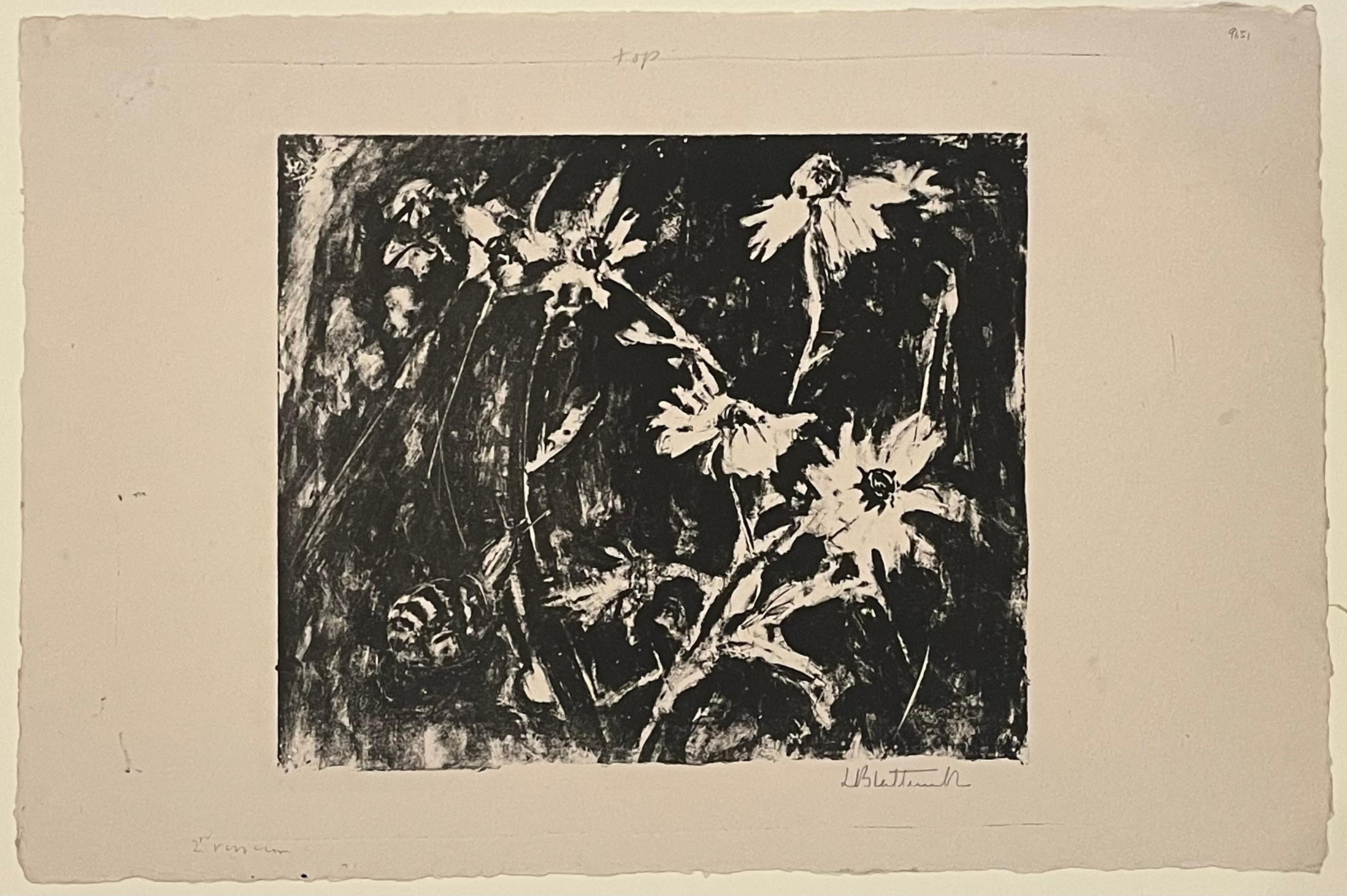 Blatherwick, Lily (English, 1854-1934)
A group of six flower studies done in the 1920s, which are very impressionistic and atmospheric, and show a mastery of the lithographic medium.

POPPY AND SESAME
Lithograph, not dated, but circa 1920s. Edition