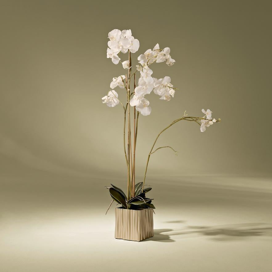 Lily Contemporary Vase by Luísa Peixoto For Sale 5