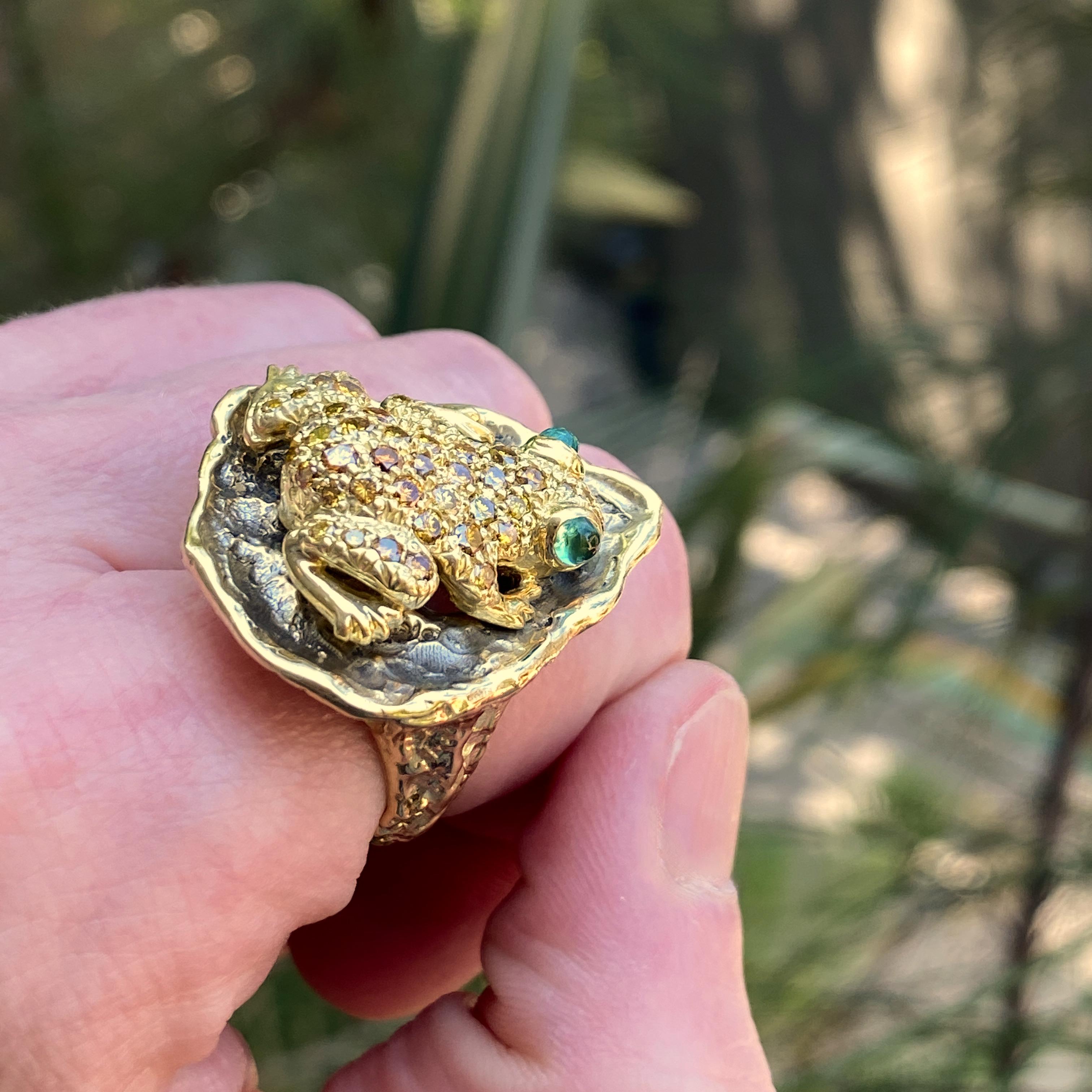 This frog has found herself the perfect perch -- a lily pad of 18 karat yellow gold fashioned just for her by Eytan Brandes.

The frog was originally a small 18 karat gold brooch, custom-made by a Washington jeweler in 2001.  She has bulging bright