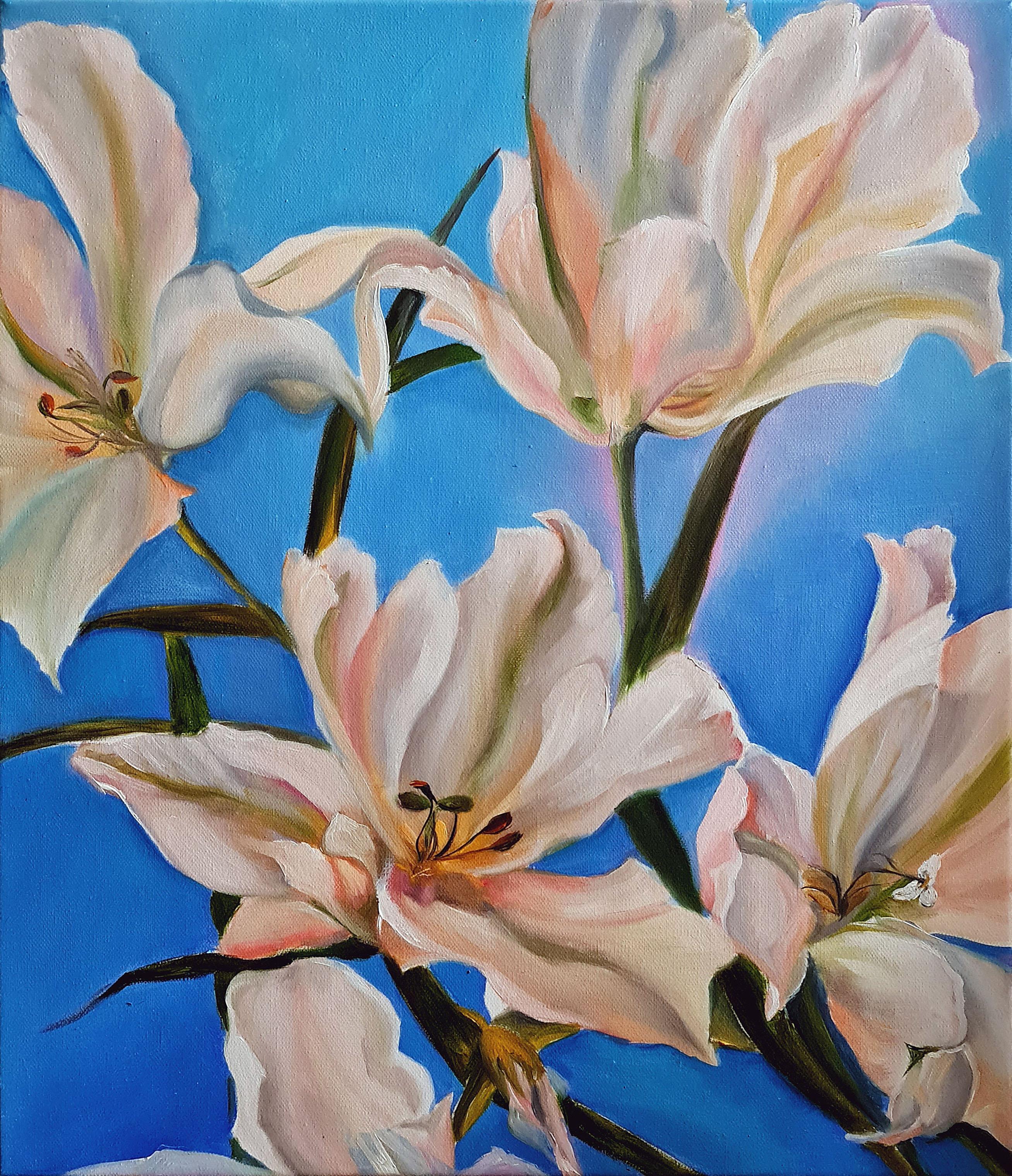 Evening light and wind in lilies