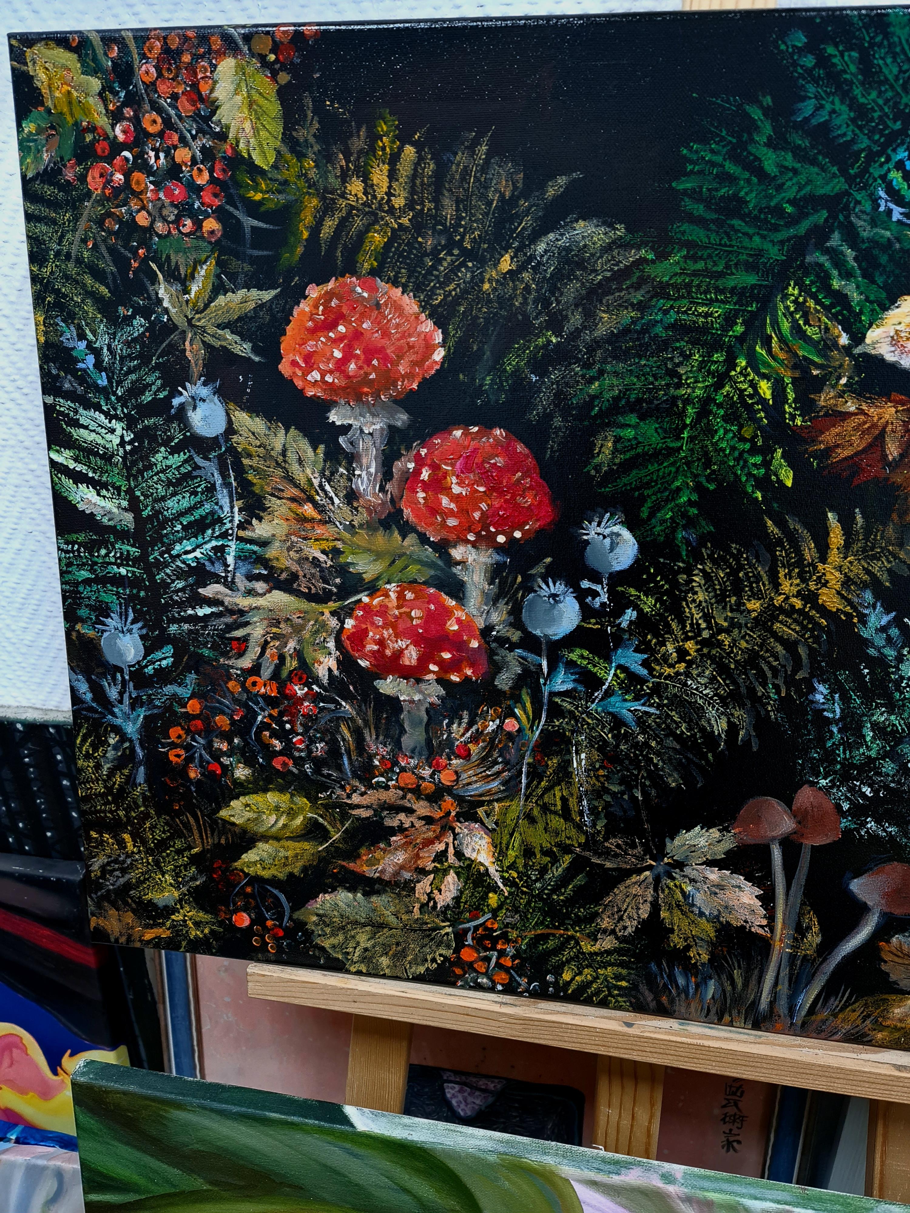 Champignons dans la forêt