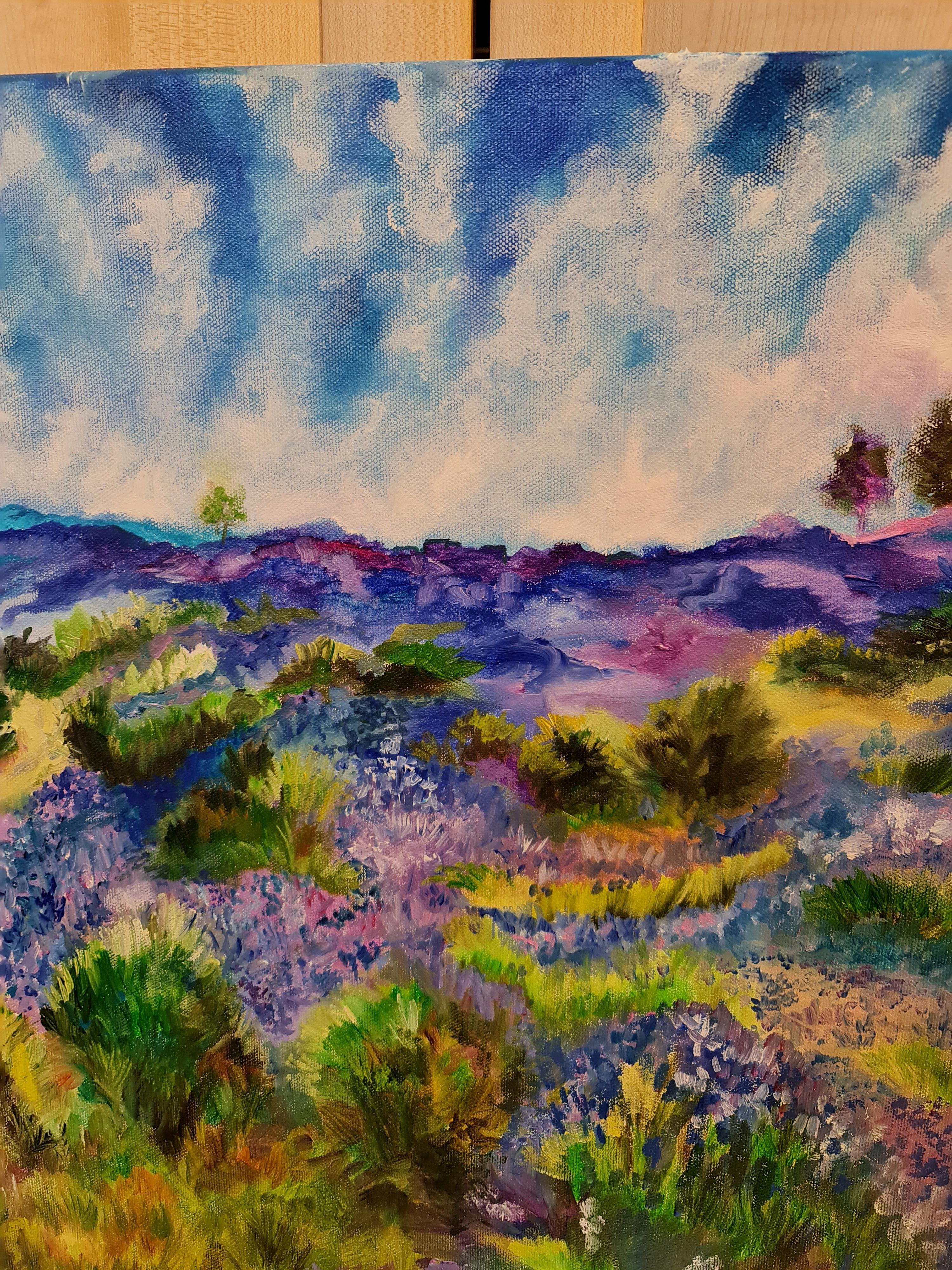 Provence.Lovesick wastelands