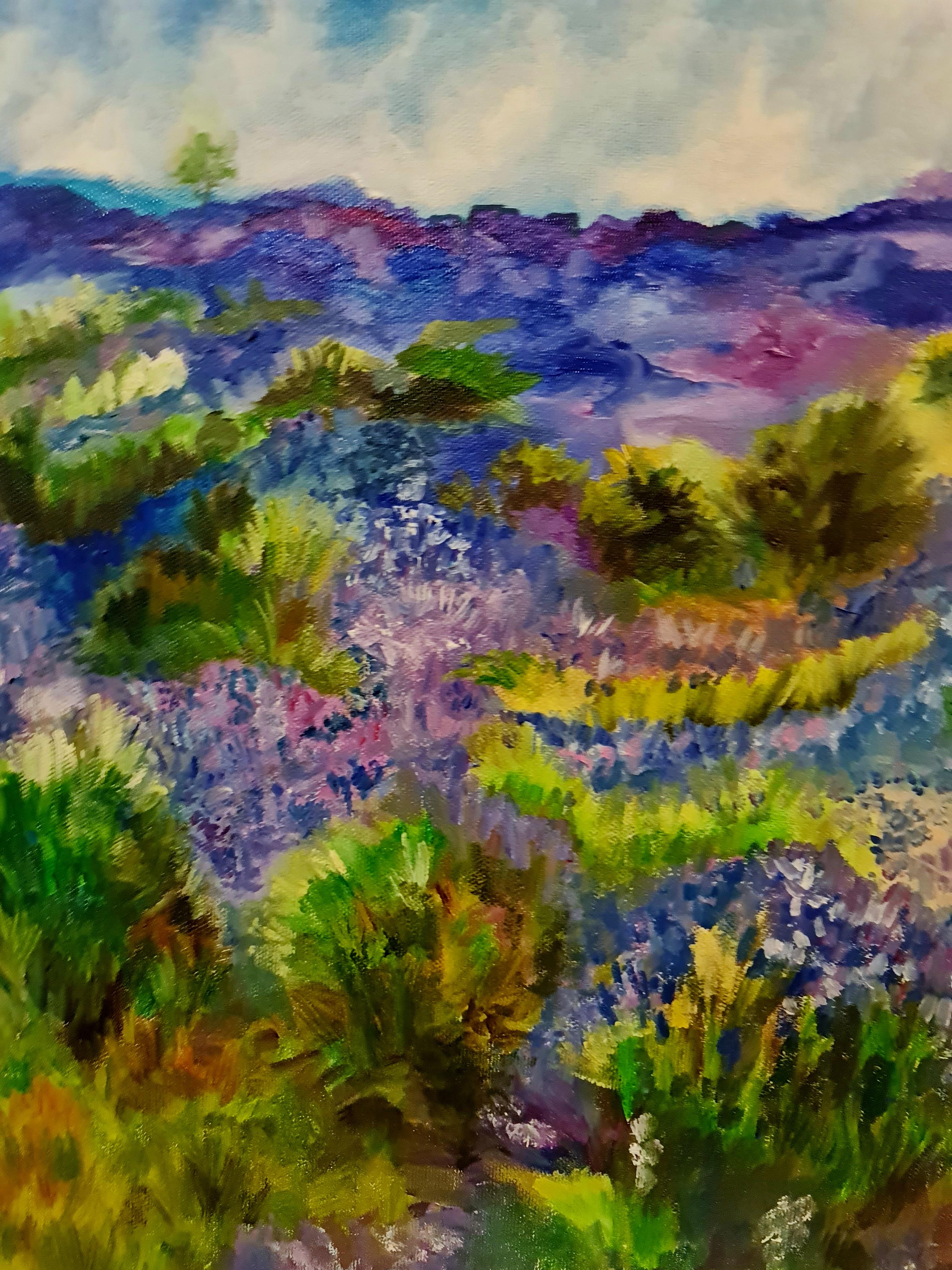 Provence.Lovesick wastelands