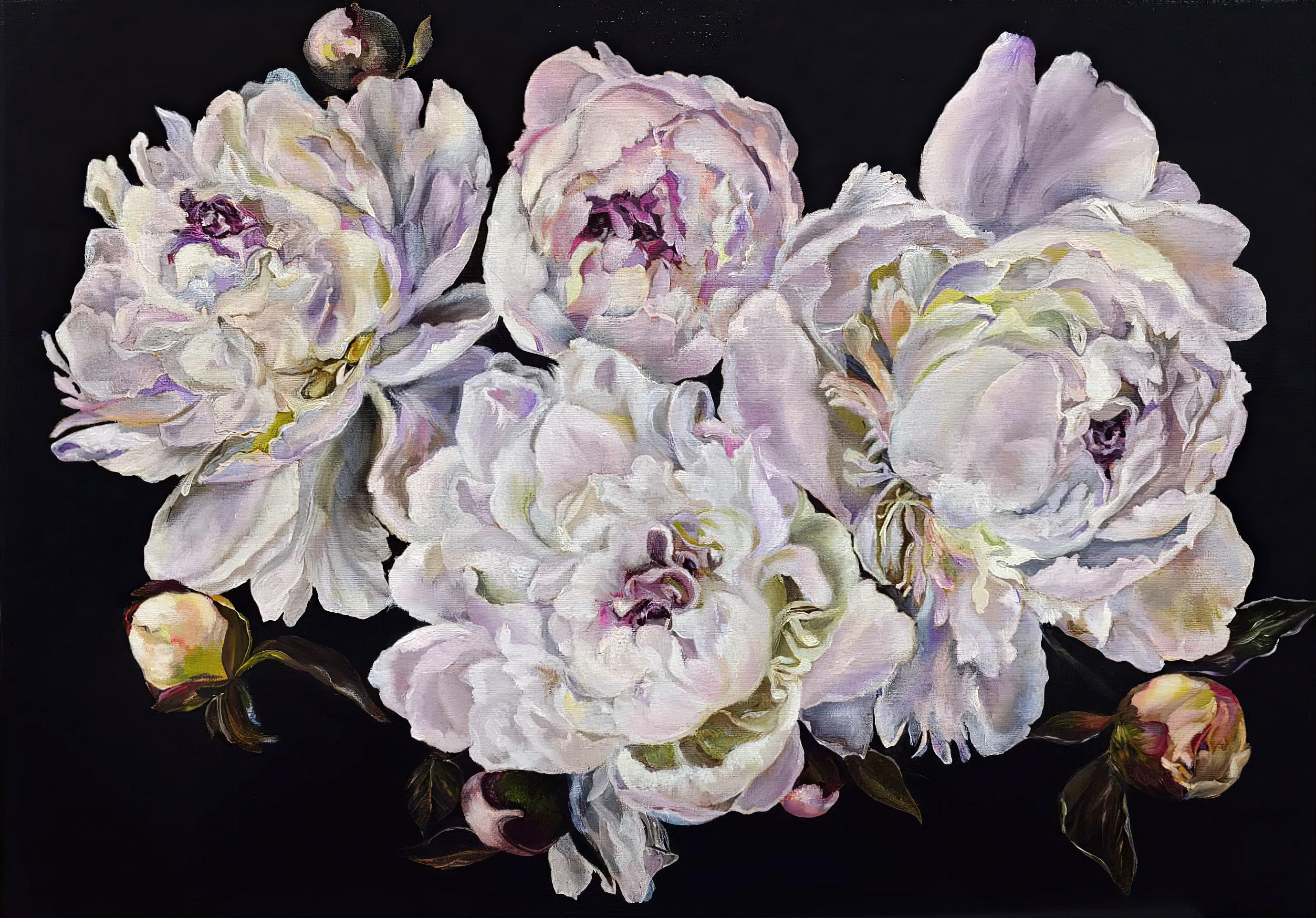 Purple lace of white peonies