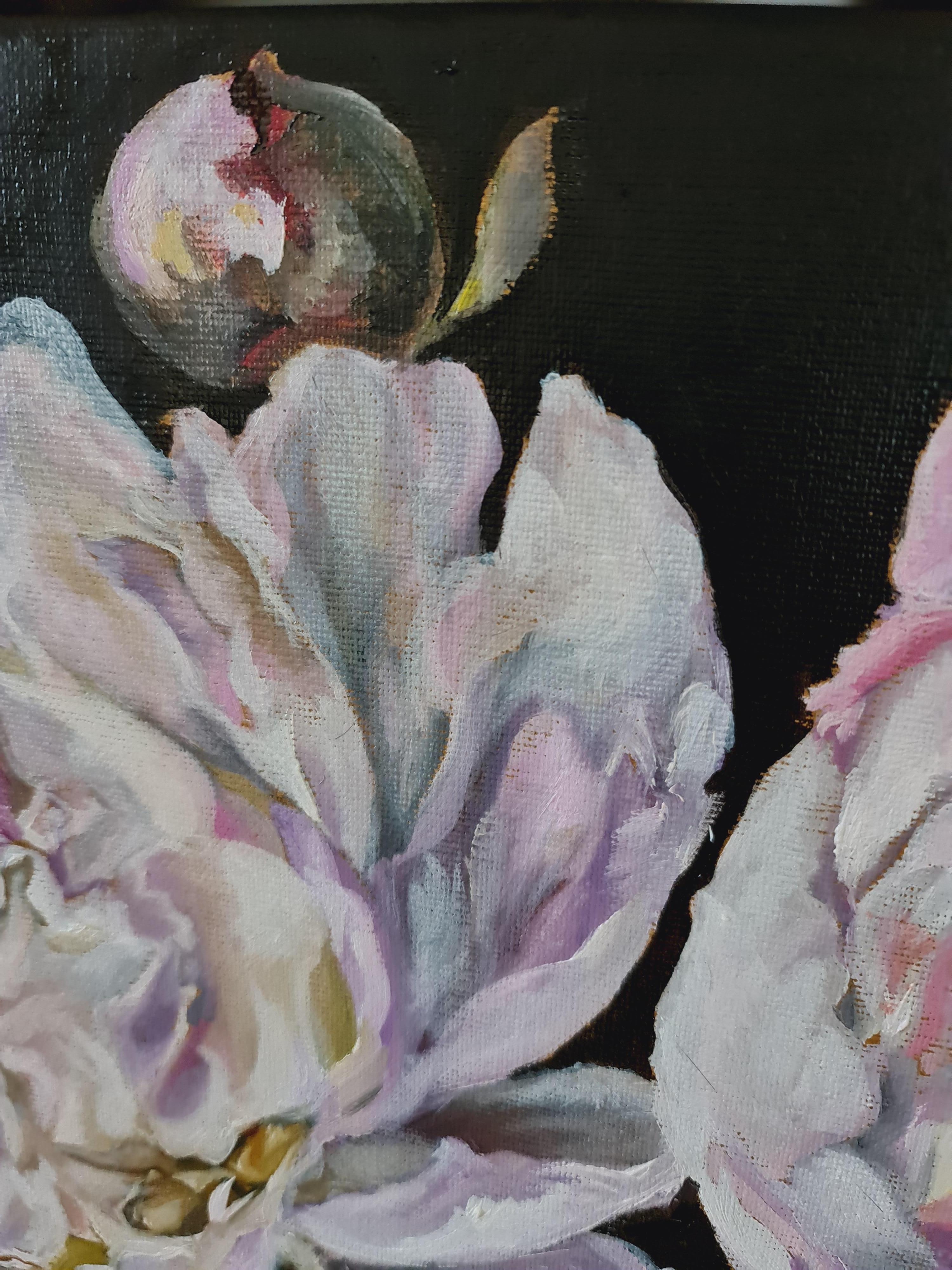 Purple lace of white peonies