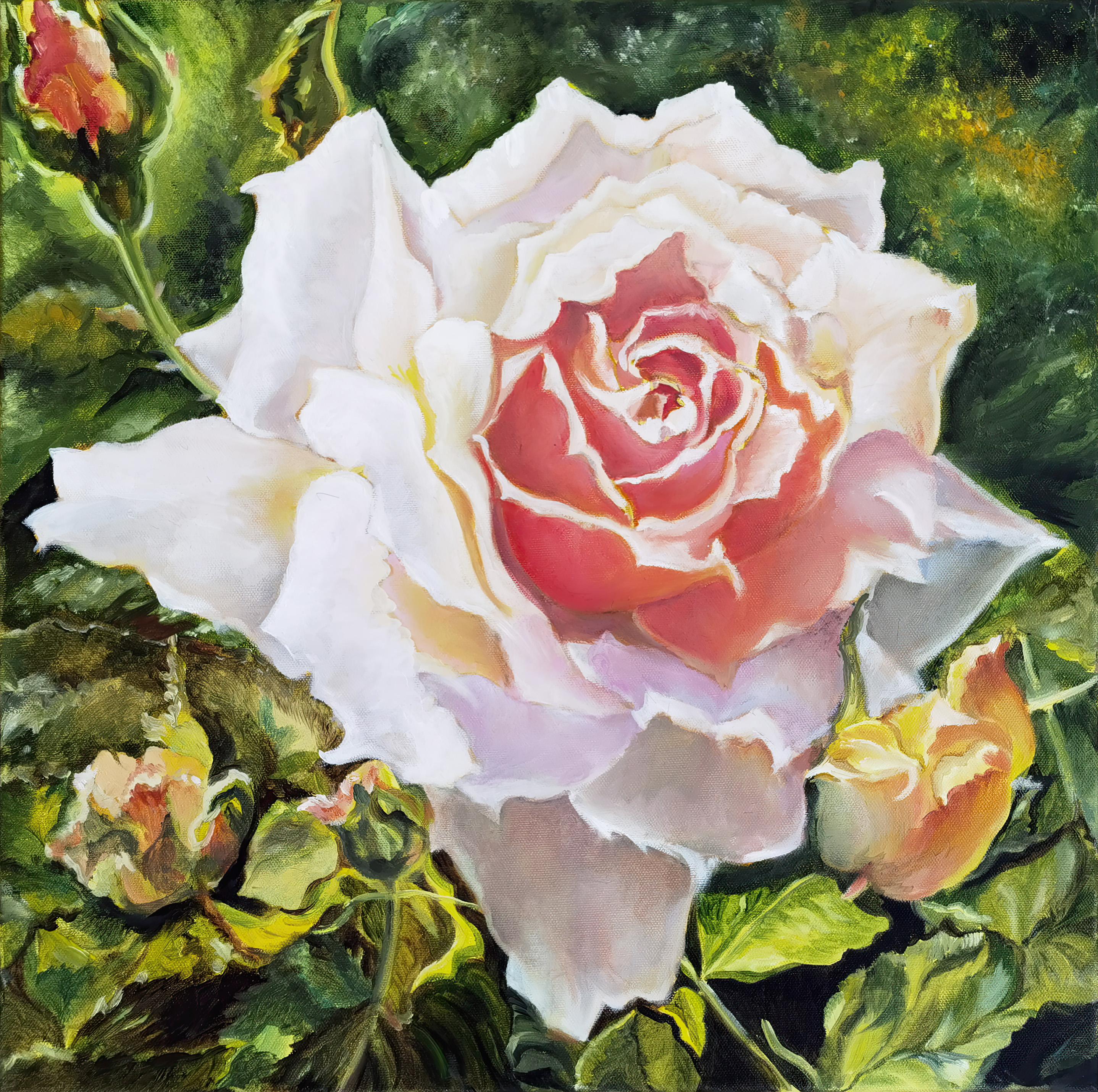 Rosa soleada