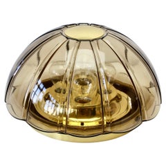 Limburg 1 von 2 Topas getöntem strukturiertem Glas Flush Mount Wandleuchten oder Sconces