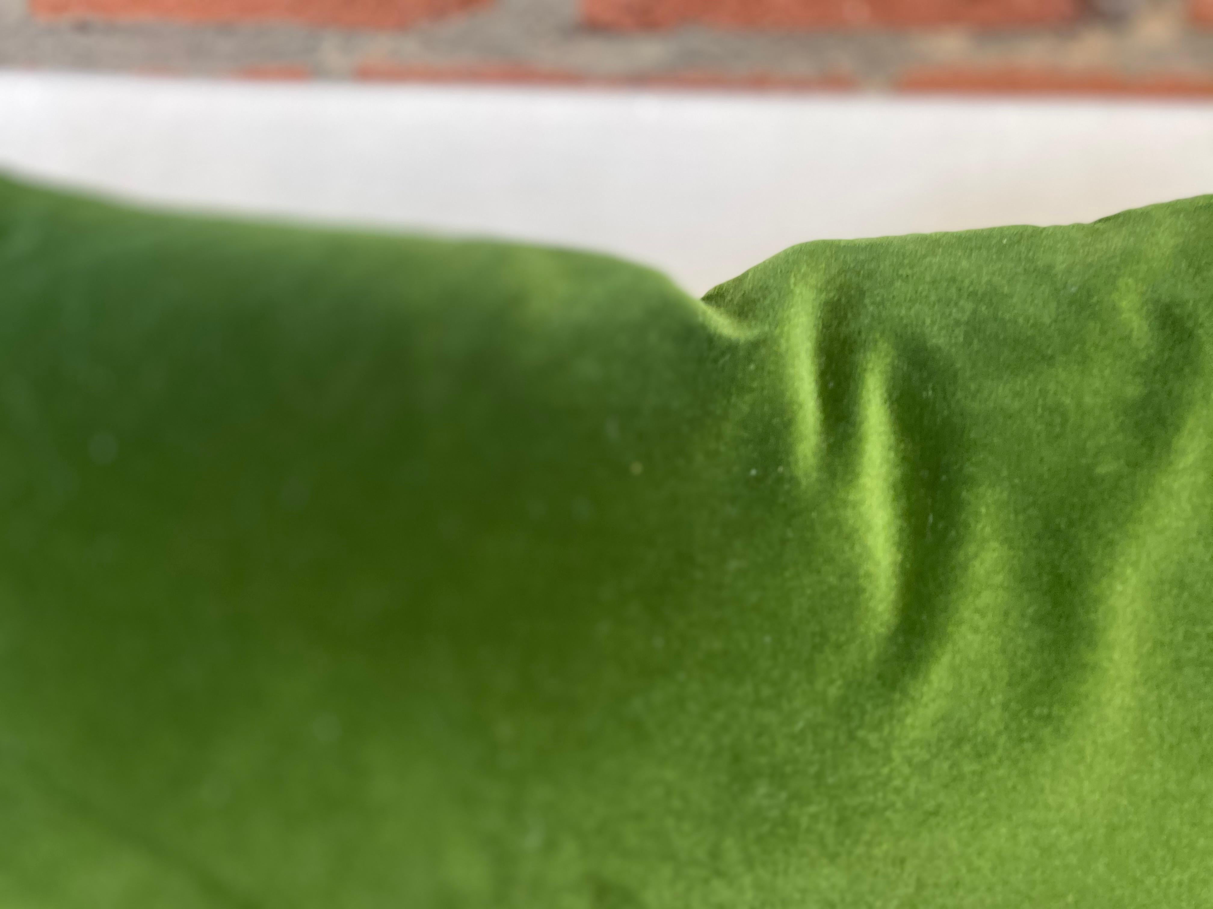 lime green lumbar pillow