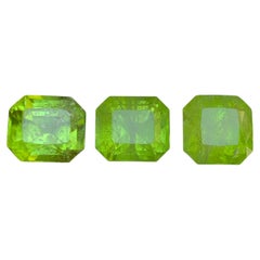 Lime Green Natural Peridot 11.54 Carat Octagon Cut Loose Gemstones for Jewelry