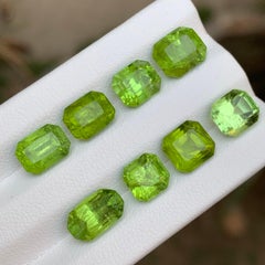 Lime Green Natural Peridot 18.91 Carat Octagon Cut Loose Gemstones for Jewelry