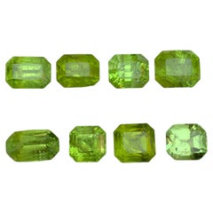 Greene & Greene Greene : Peridot vert lime naturel 18.91 Carat Octagon Cut Gemstones Loose for Jewelry
