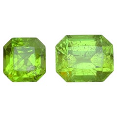 Greene & Greene Greene : Peridot vert lime naturel 9.47 Carat Octagon Cut Gemstones Loose for Jewelry