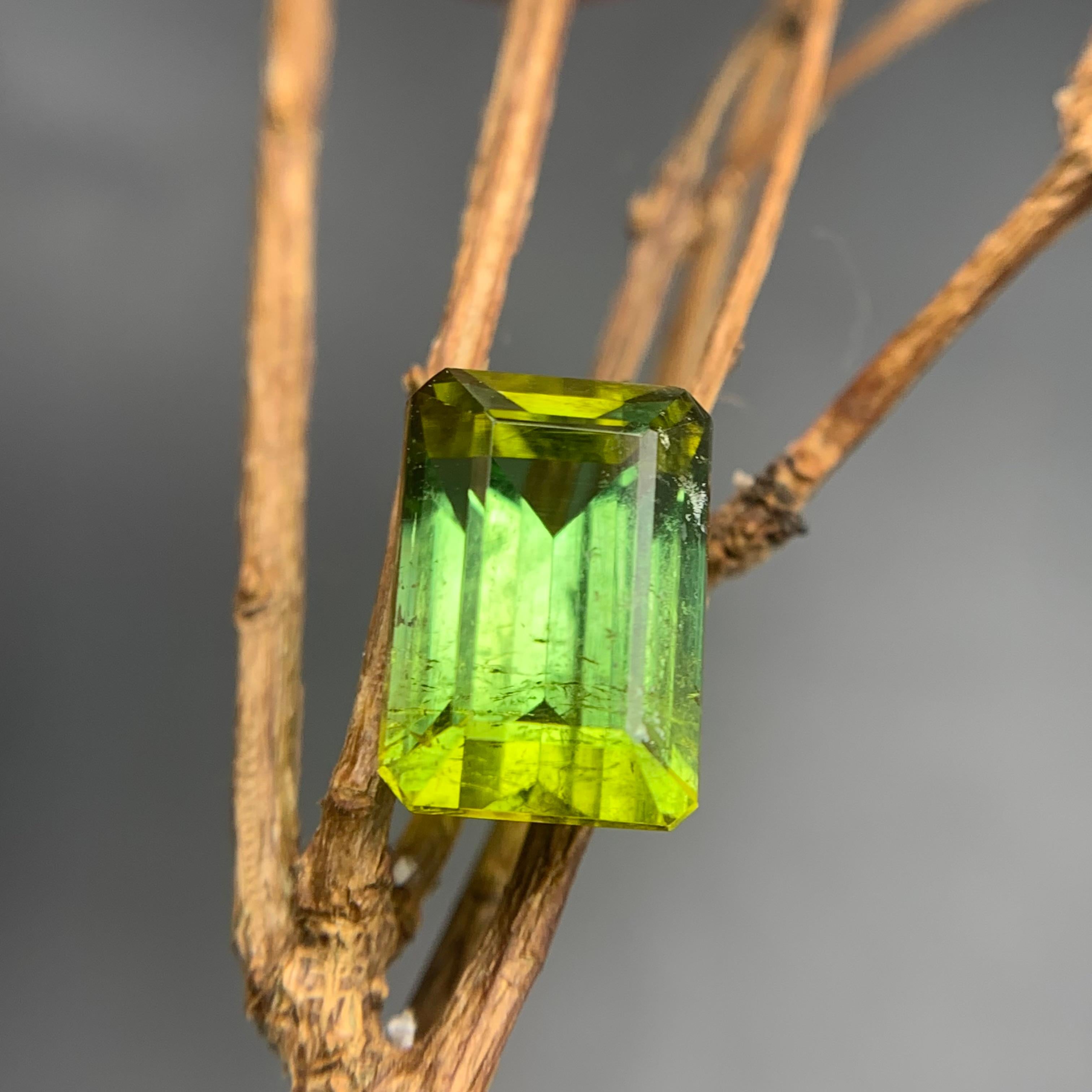Contemporain Bague et pendentif en tourmaline naturelle vert citron, pierre précieuse non sertie taille émeraude de 4,85 carats en vente