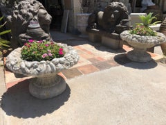 Limestone Fruited Planter