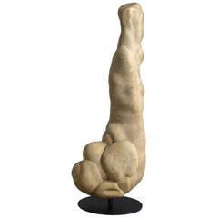Estalactita caliza
