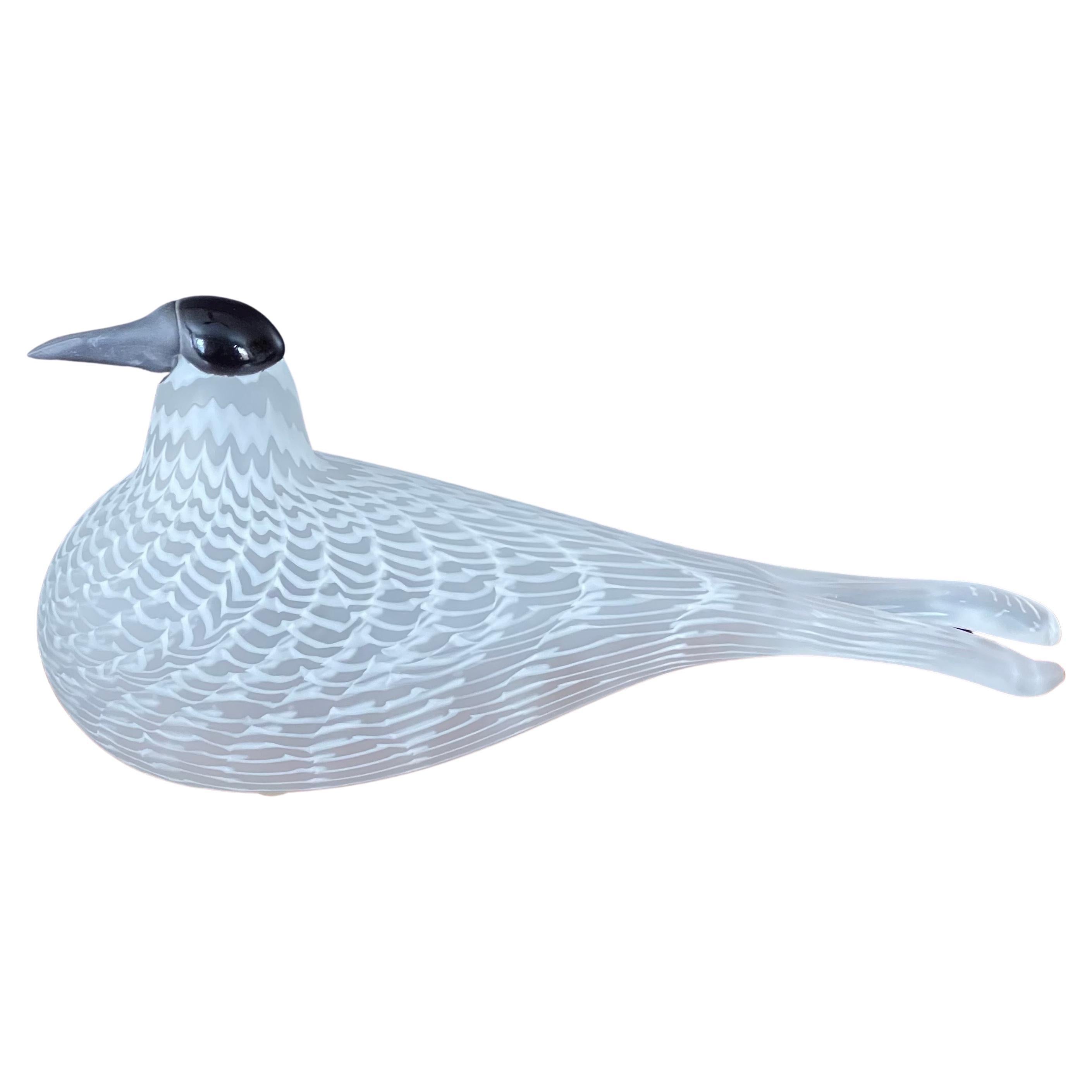 Limited Edition Art Glass Bird Sculpture by Oiva Toikka / Nuutajarvi of Finland 9