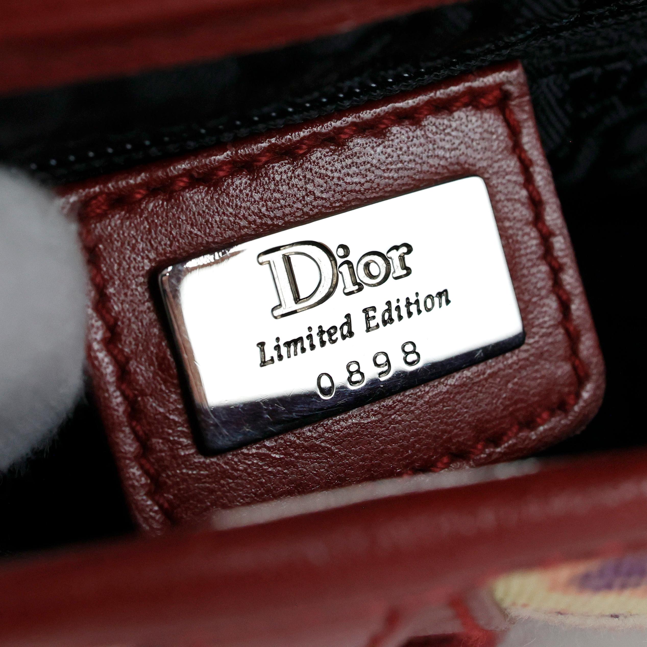 Women's Limited Edition Christian Dior by John Galliano Victim Saddle Bag