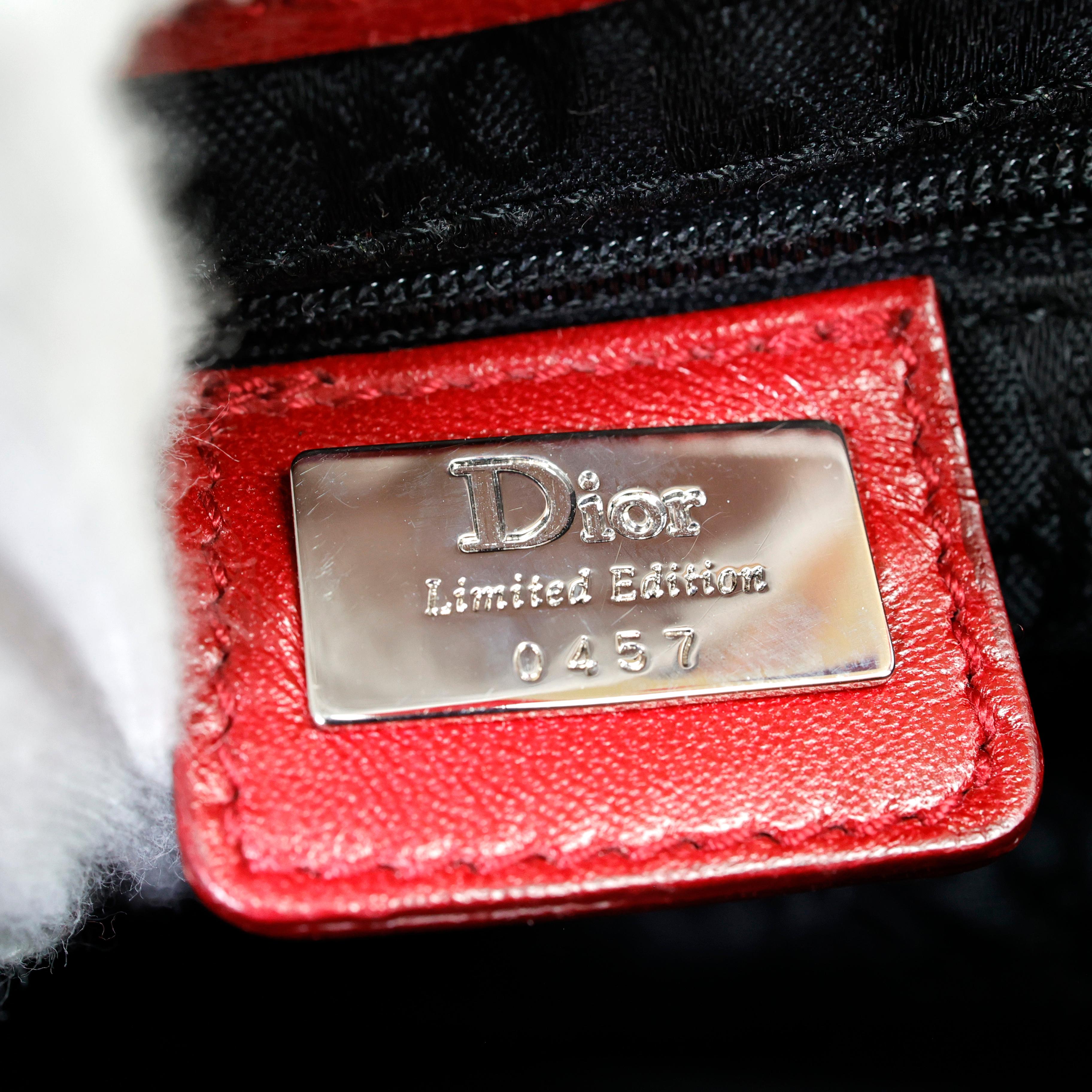 Women's Limited Edition Christian Dior by John Galliano Victim Saddle Bag For Sale
