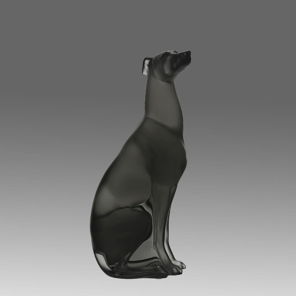 A fabulous limited edition rich grey glass study of a seated greyhound with a very fine smooth tactile surface and good deep colour, signed Lalique France  & numbered 164/288

From the Egypt of the Pharaohs to the present day, greyhounds have