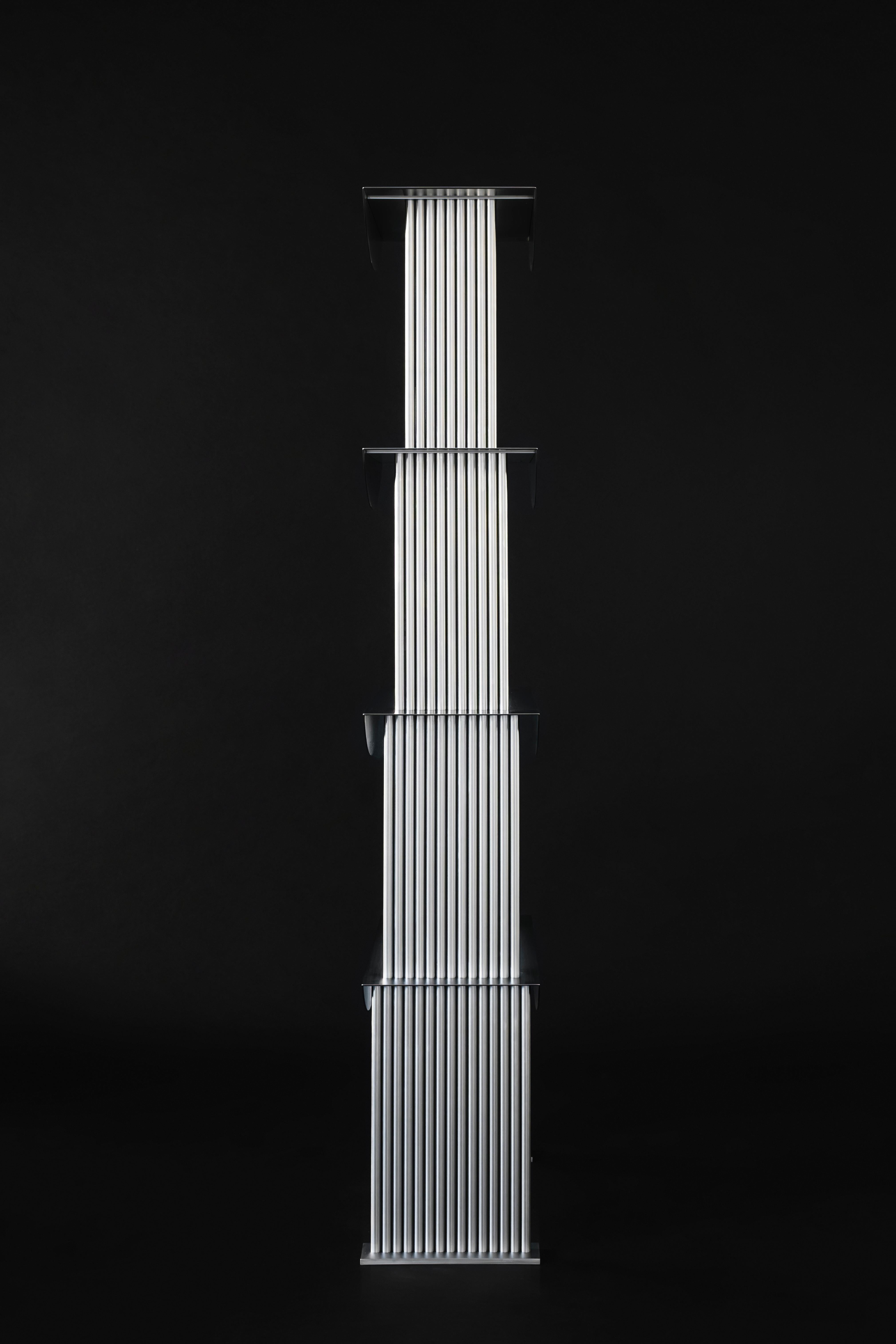 Limited Edition Etagere Standing Shelf in Stainless Steel by sashaxsasha For Sale 6