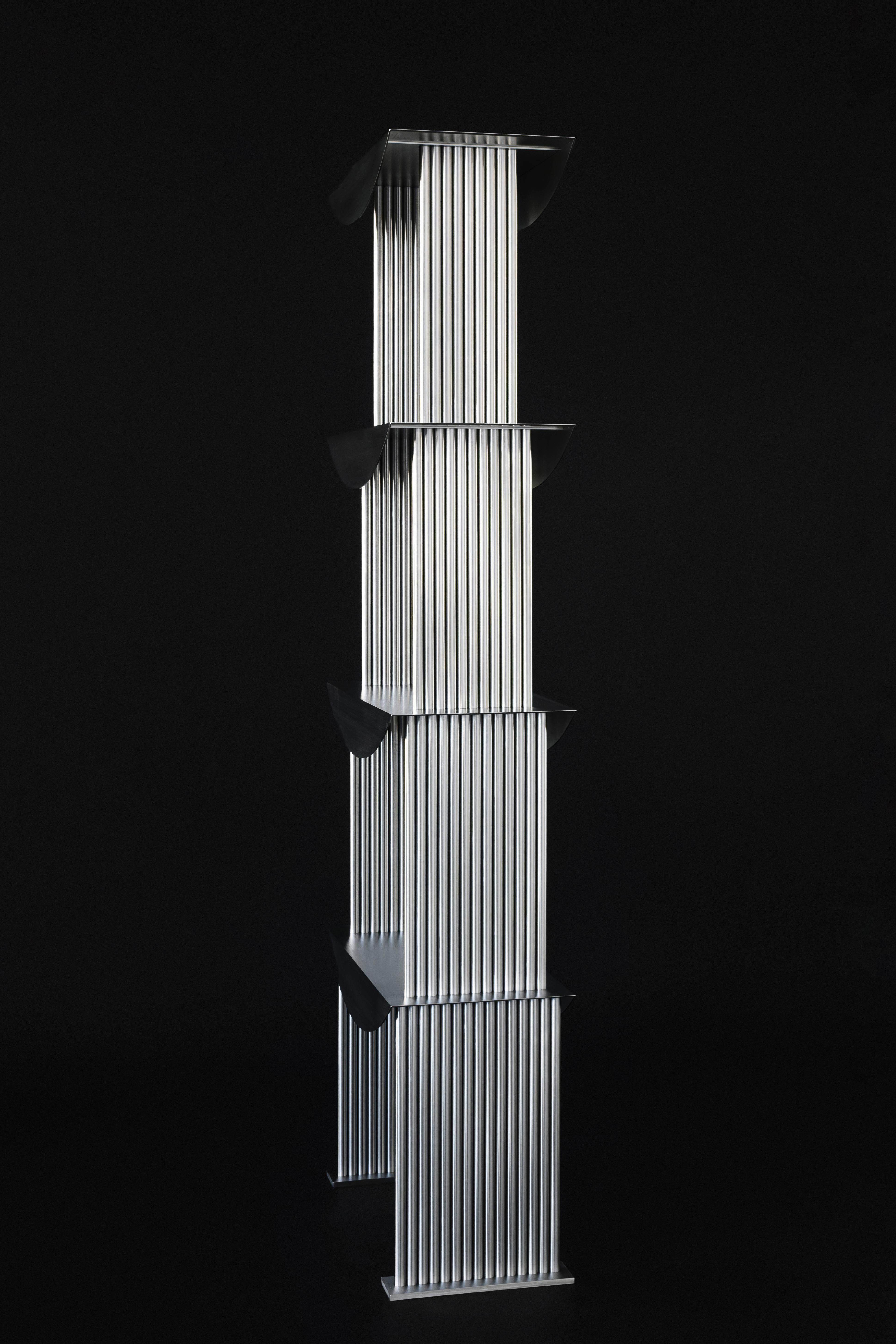 Limited Edition Etagere Standing Shelf in Stainless Steel by sashaxsasha For Sale 7