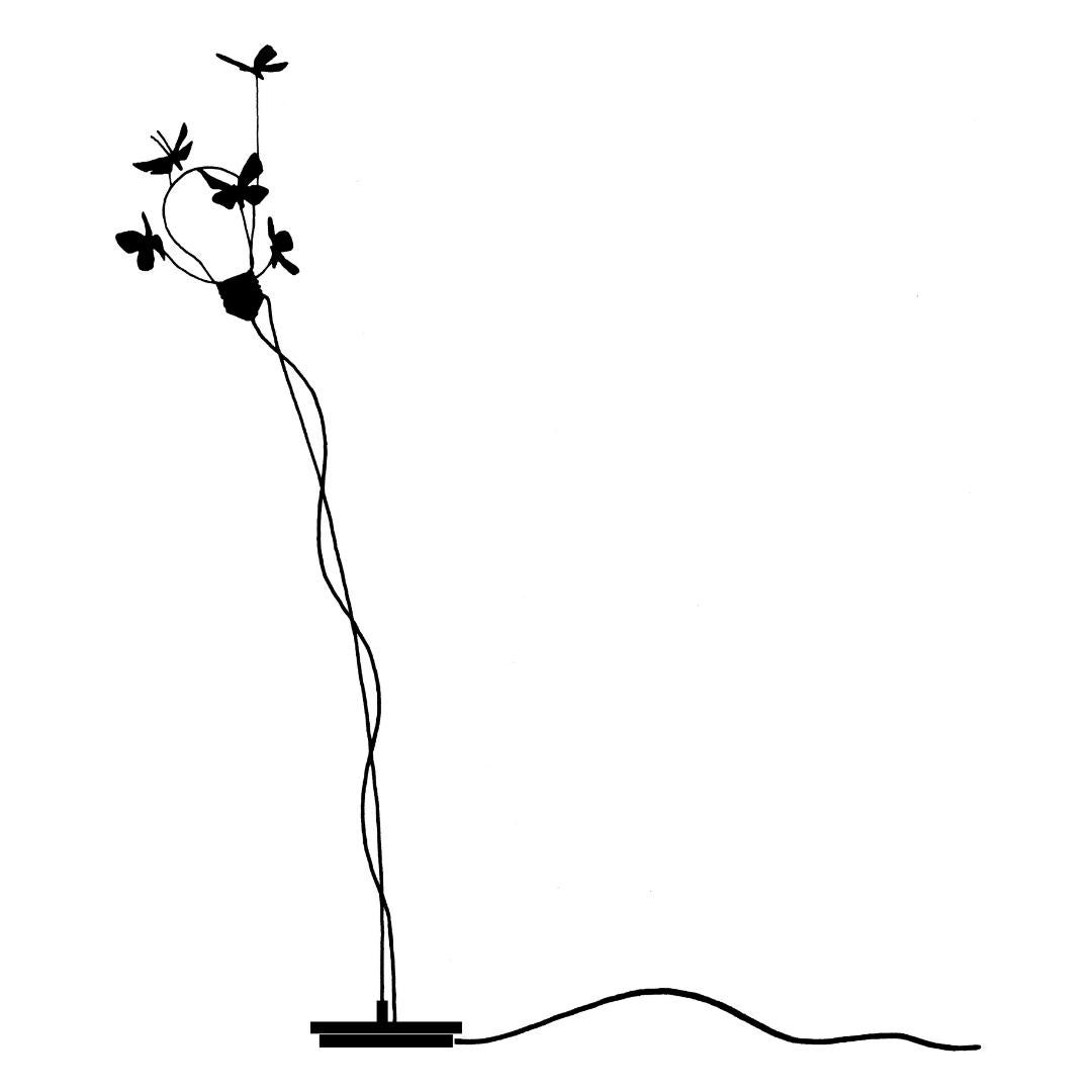 XXIe siècle et contemporain Lampe de table I Ricchi Poveri 'Five Butterflies' pour Ingo Maurer, édition limitée en vente