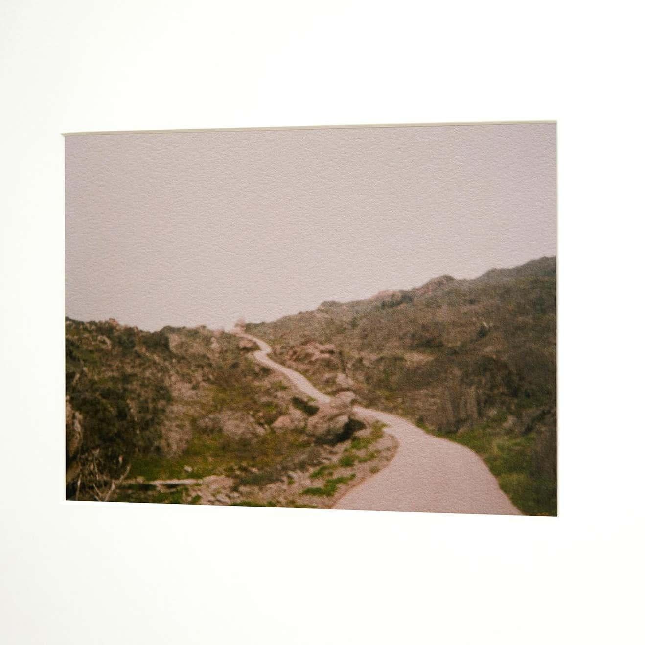 XXIe siècle et contemporain Photographie de paysage en édition limitée : Green Meadow Path de David Urbano en vente
